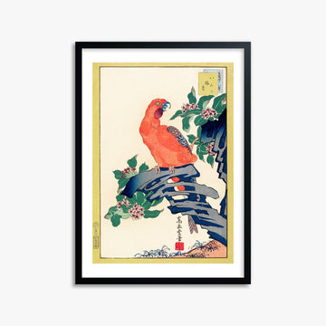 Nakayama Sūgakudō: Pink Parrot on Rock, 50x70cm Framed Art Reproduction With Black Frame