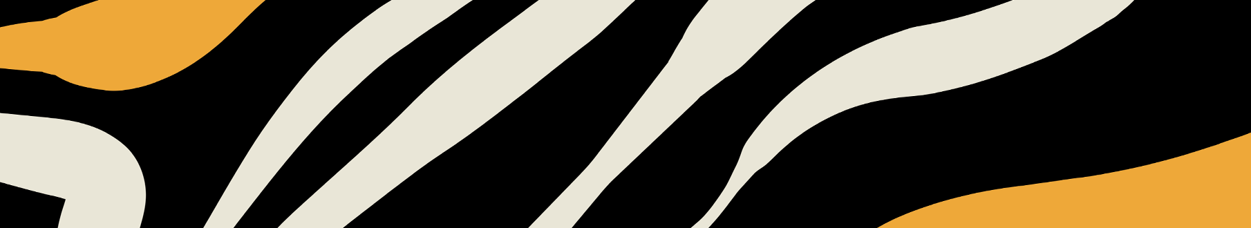 collection-banner-image