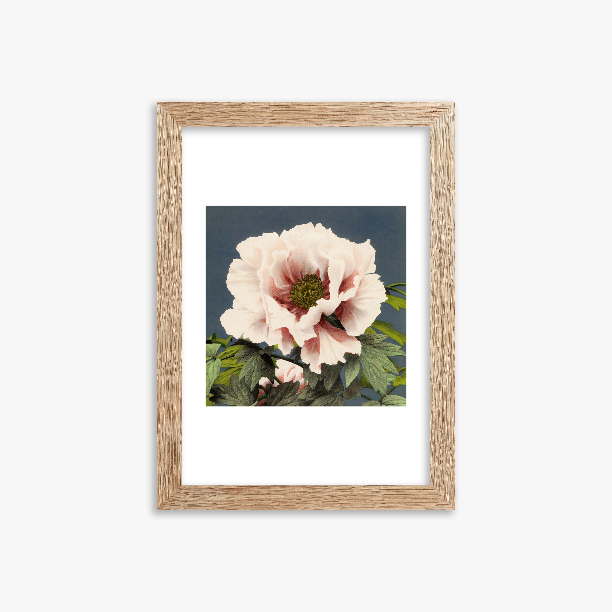 Ogawa Kazumasa: Peony, 21x30cm Framed Art Reproduction With Raw Oak Frame
