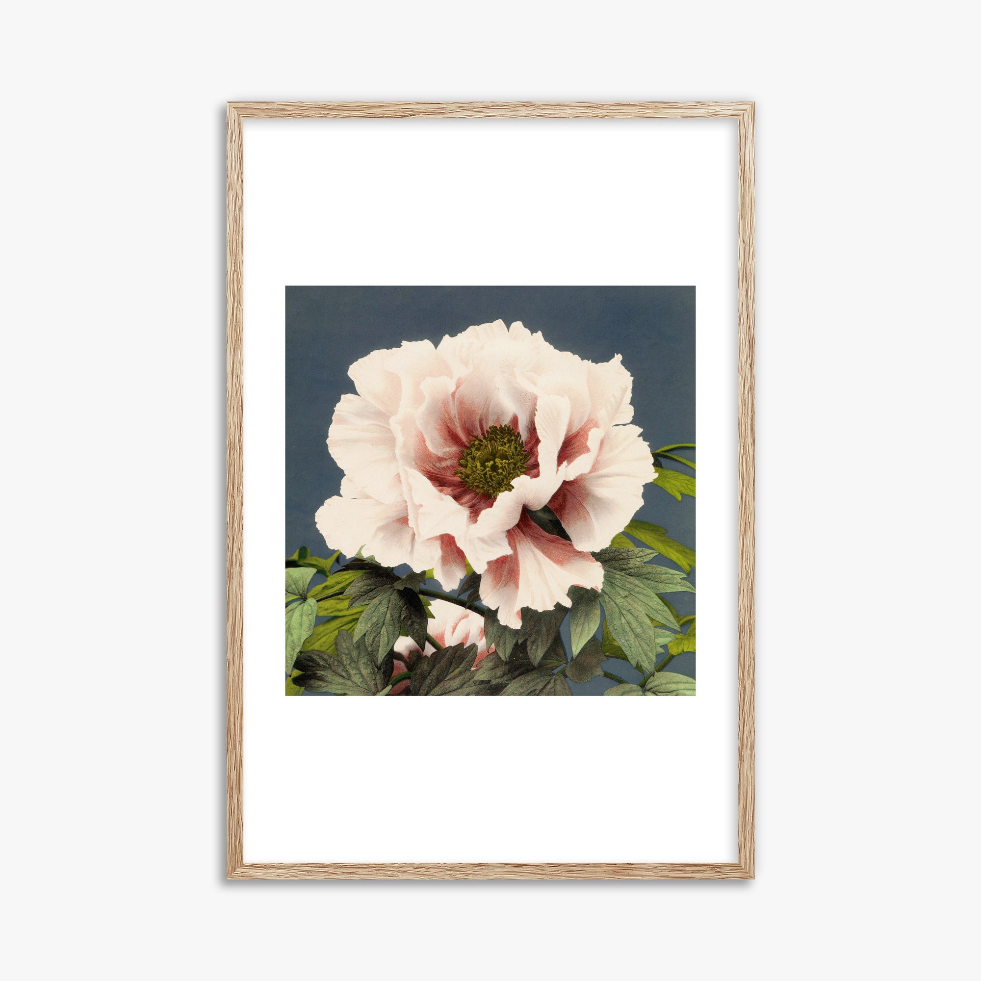Ogawa Kazumasa: Peony, 61x91cm Framed Art Reproduction With Raw Oak Frame
