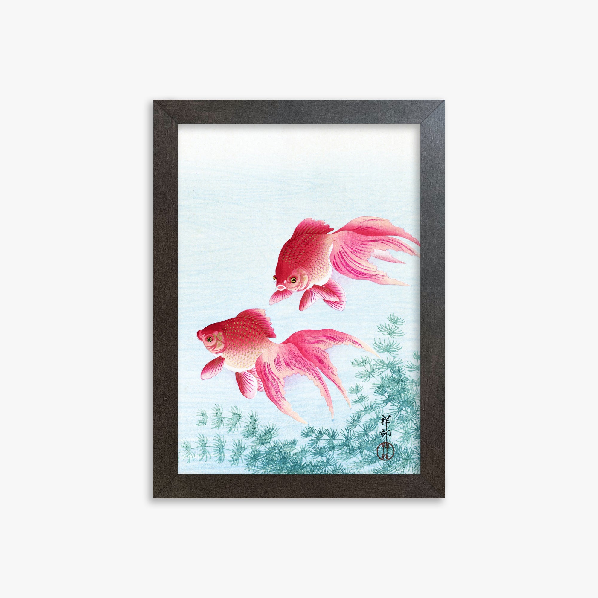 Ohara Koson: Two veil goldfish, 21x30cm Framed Art Reproduction With Espresso Frame