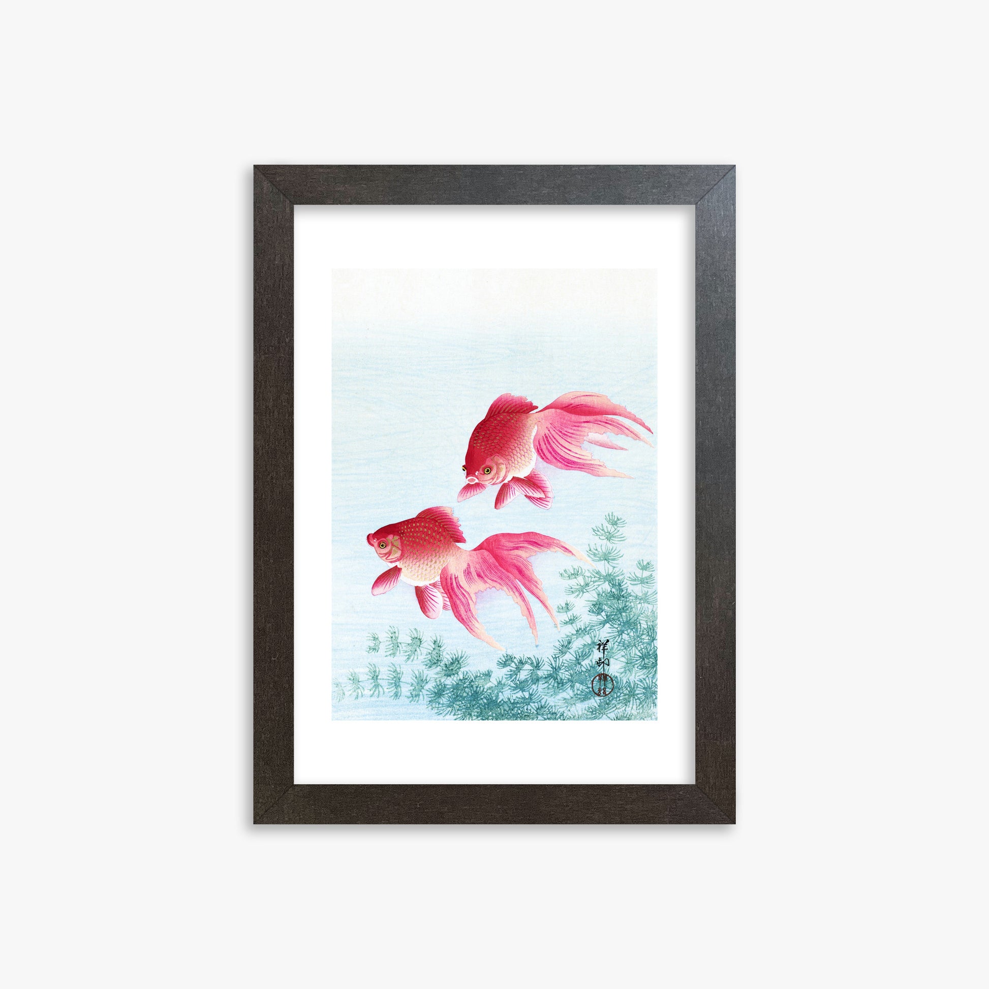 Ohara Koson: Two veil goldfish, 21x30cm Framed Art Reproduction With Espresso Frame