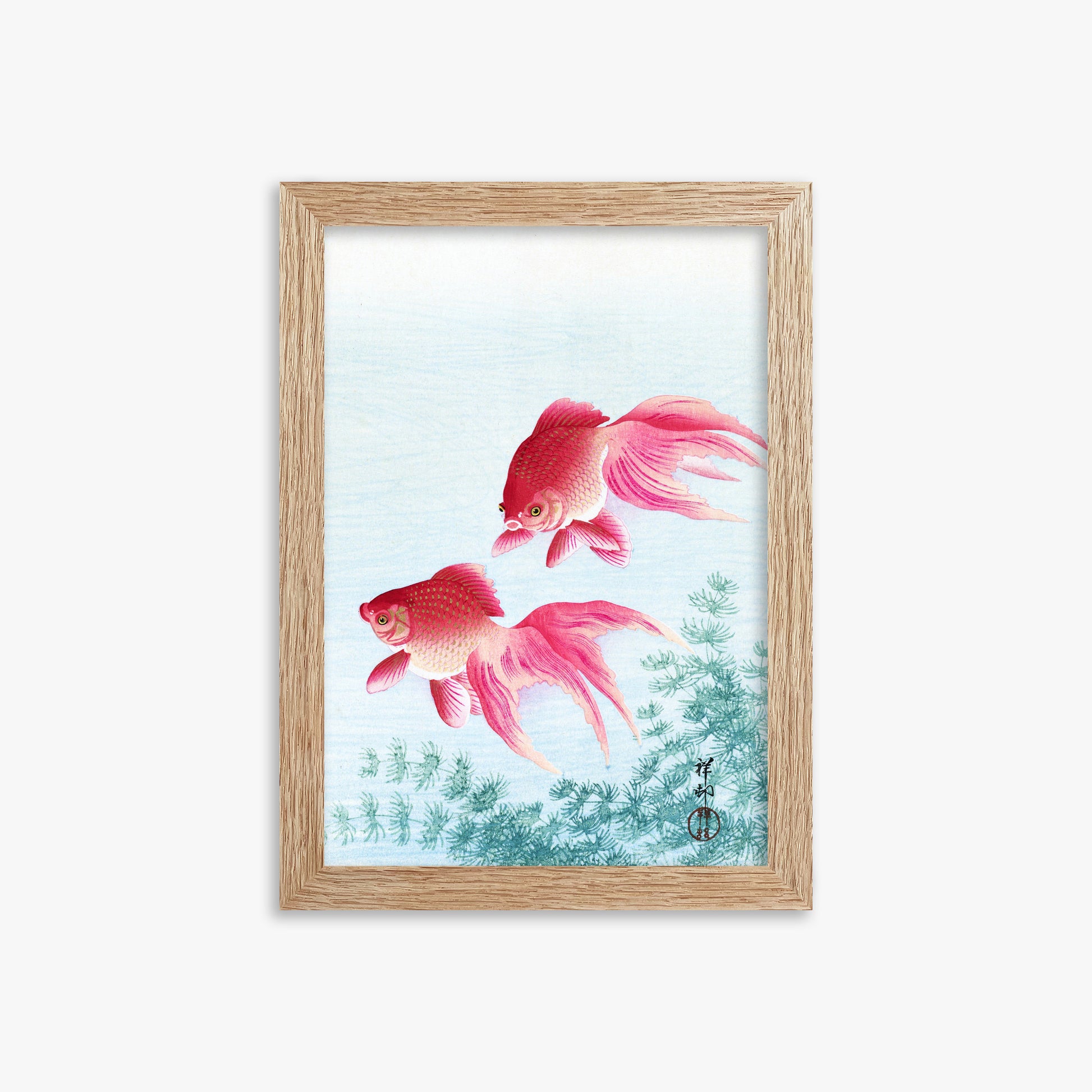 Ohara Koson: Two veil goldfish, 21x30cm Framed Art Reproduction With Raw Oak Frame