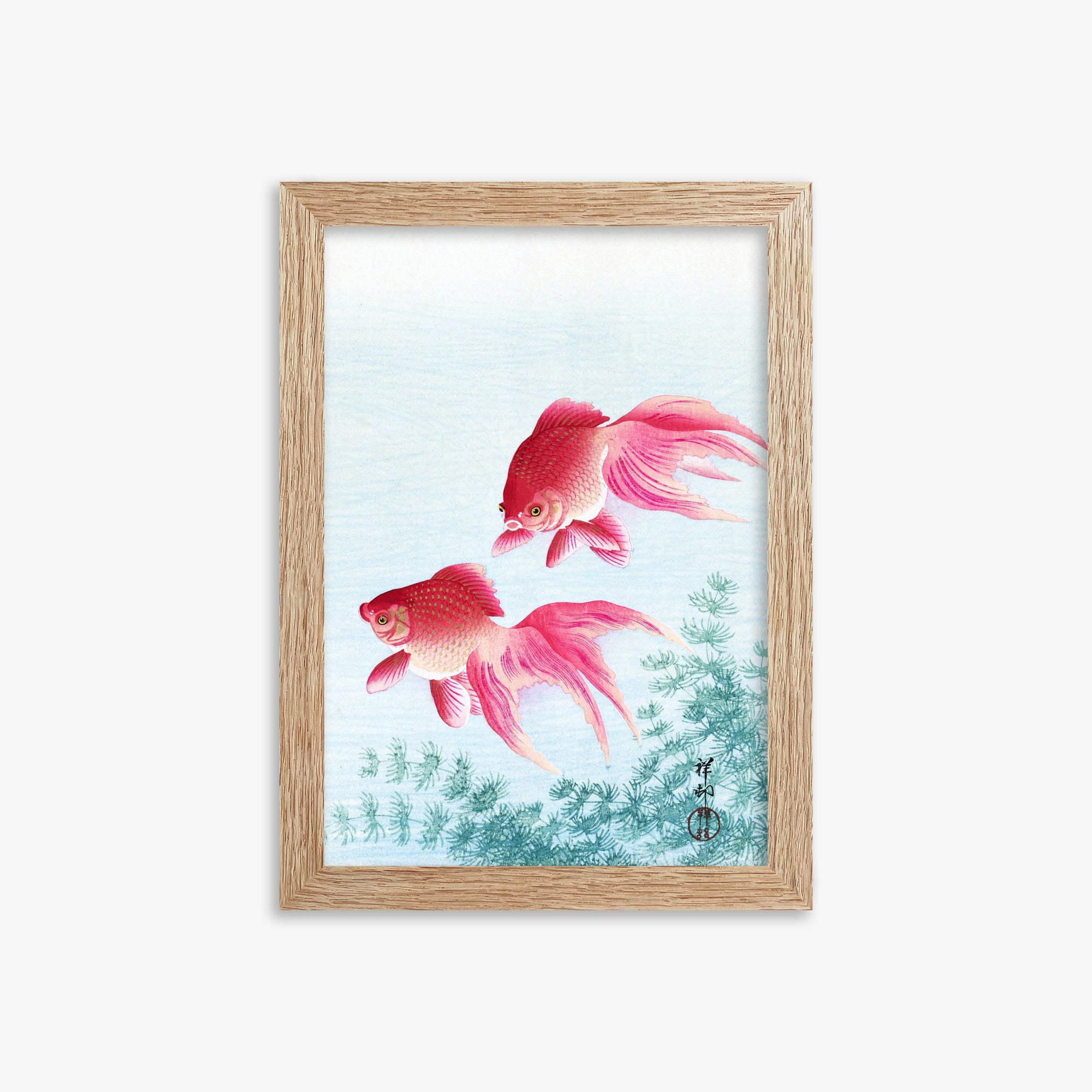 Ohara Koson: Two veil goldfish, 21x30cm Framed Art Reproduction With Raw Oak Frame