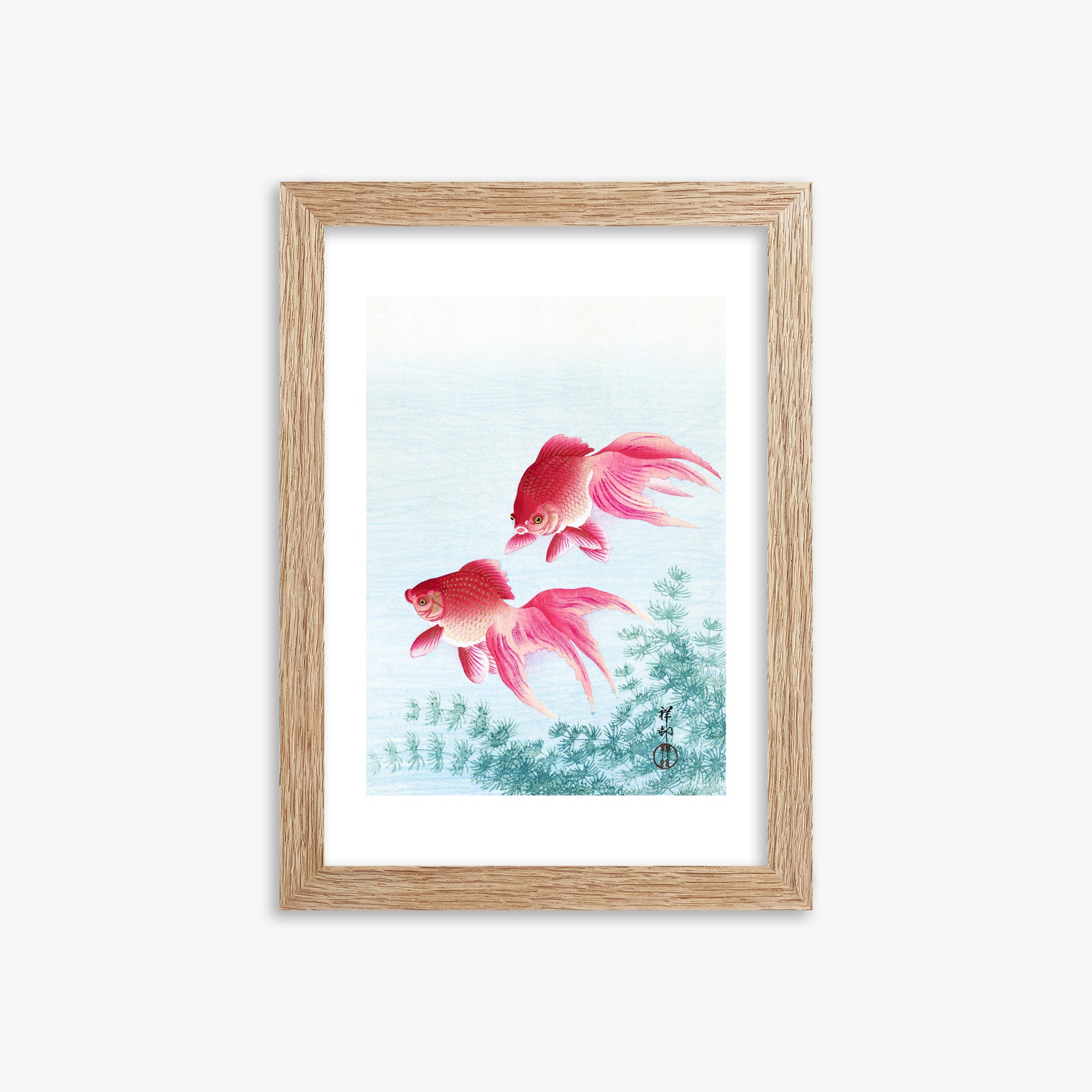 Ohara Koson: Two veil goldfish, 21x30cm Framed Art Reproduction With Raw Oak Frame
