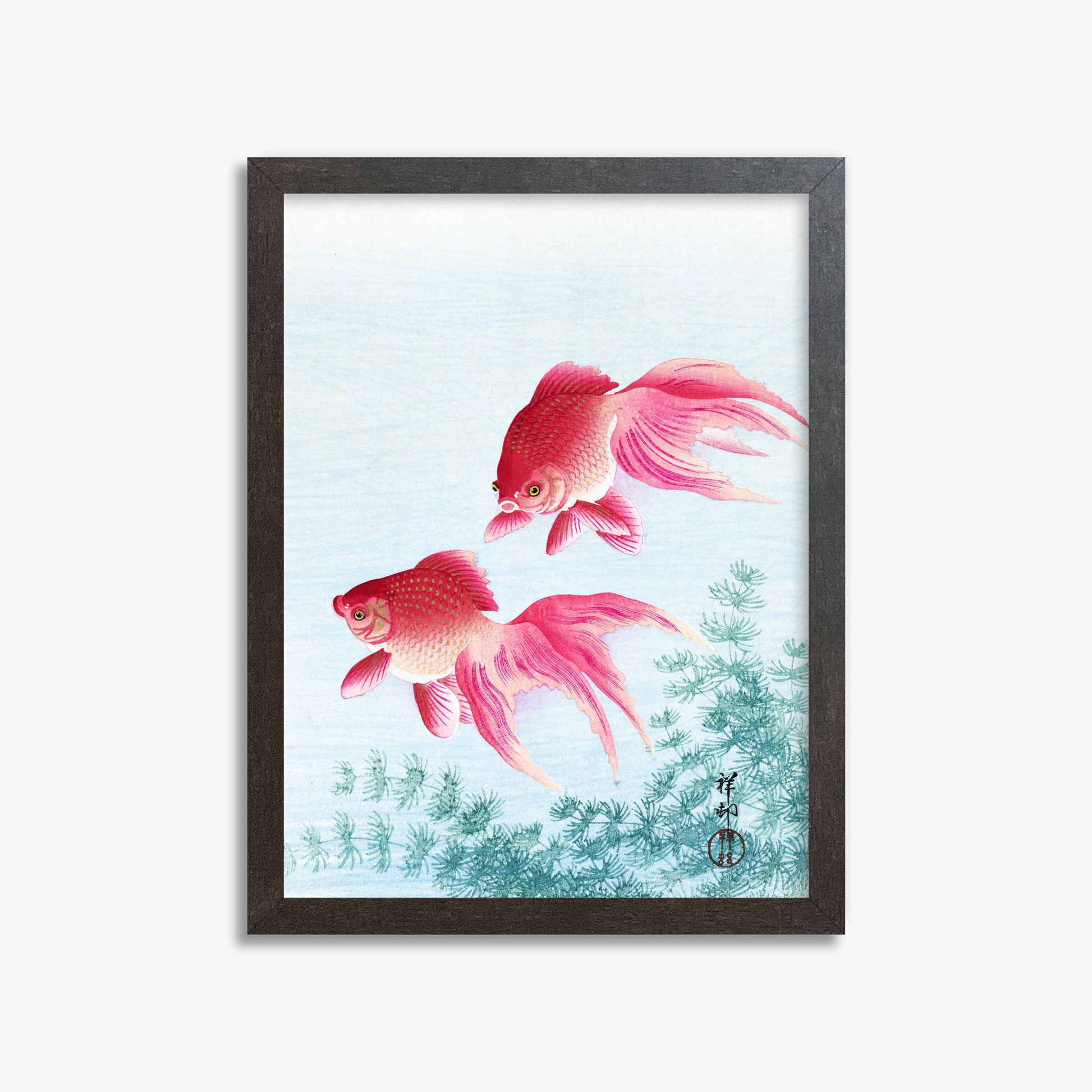 Ohara Koson: Two veil goldfish, 30x40cm Framed Art Reproduction With Espresso Frame