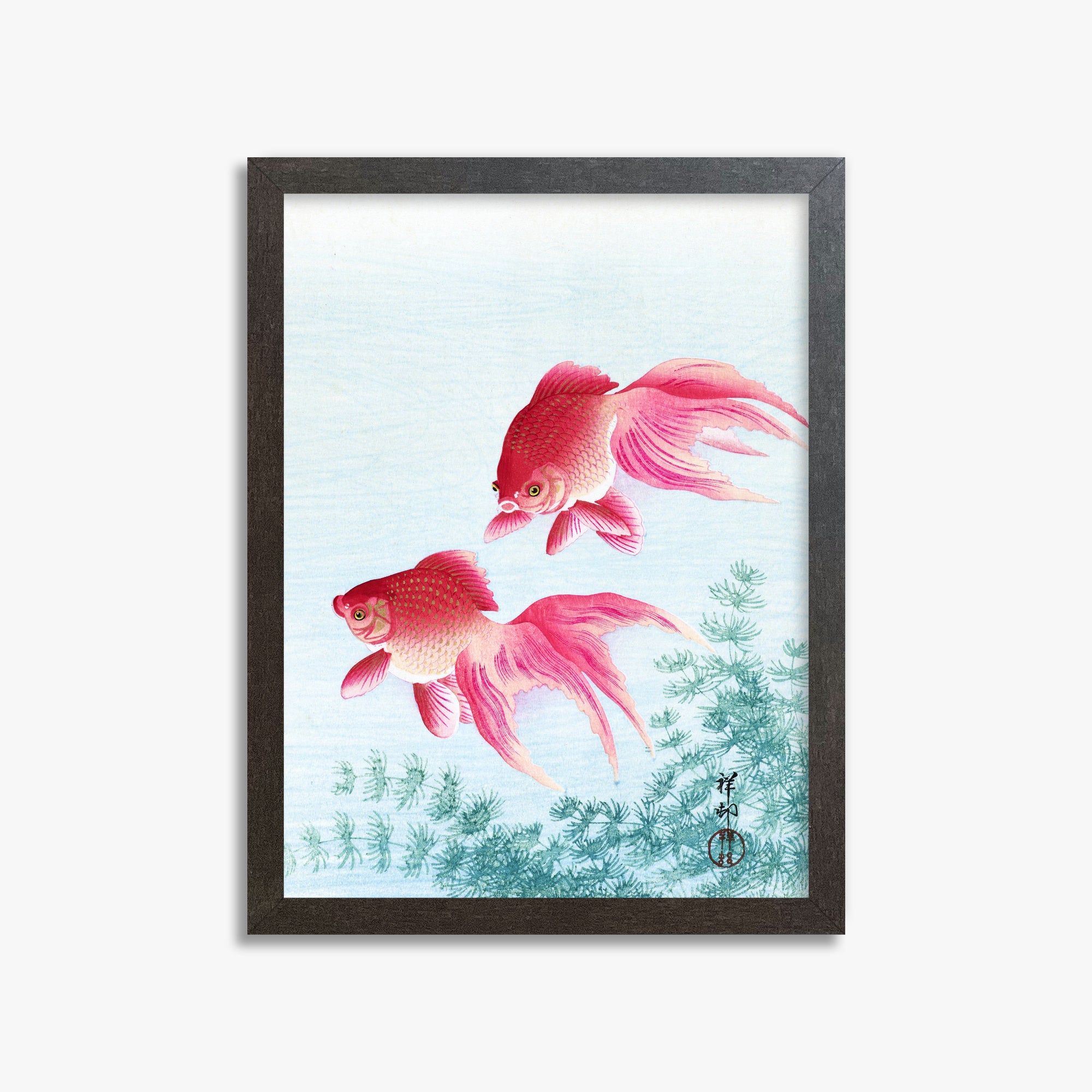 Ohara Koson: Two veil goldfish, 30x40cm Framed Art Reproduction With Espresso Frame
