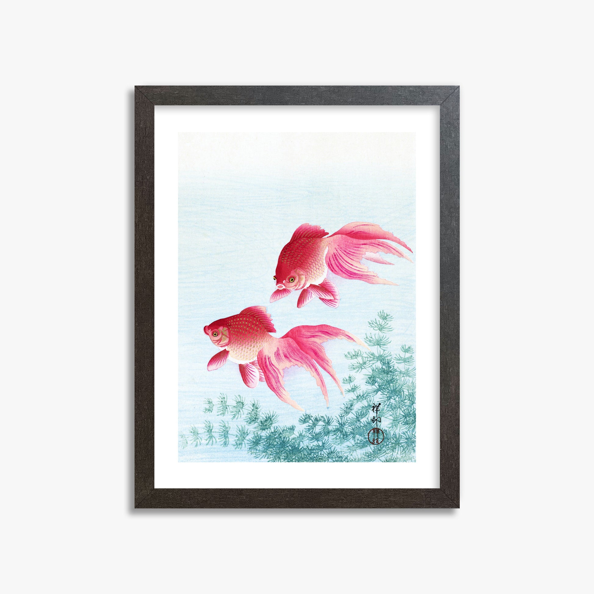 Ohara Koson: Two veil goldfish, 30x40cm Framed Art Reproduction With Espresso Frame