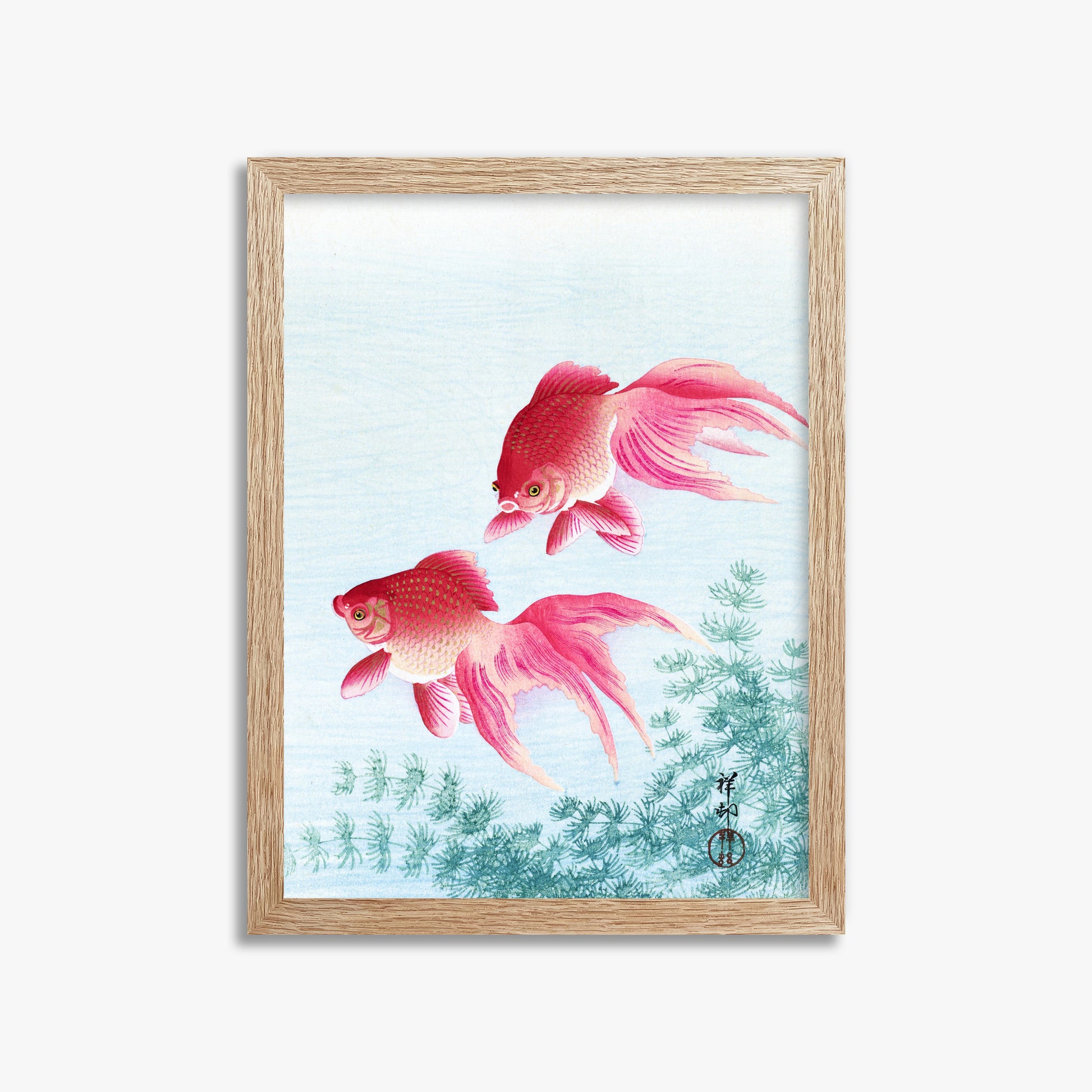 Ohara Koson: Two veil goldfish, 30x40cm Framed Art Reproduction With Raw Oak Frame