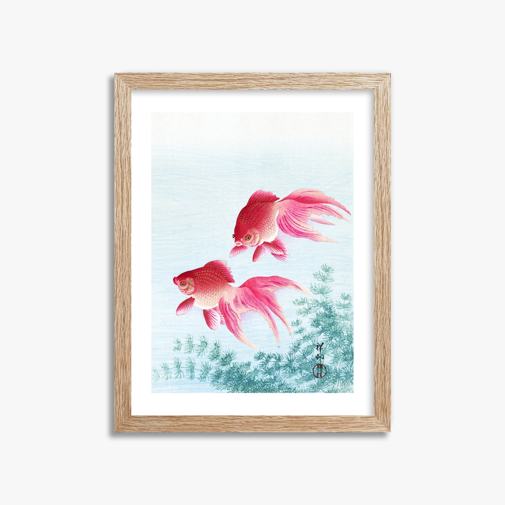 Ohara Koson: Two veil goldfish, 30x40cm Framed Art Reproduction With Raw Oak Frame