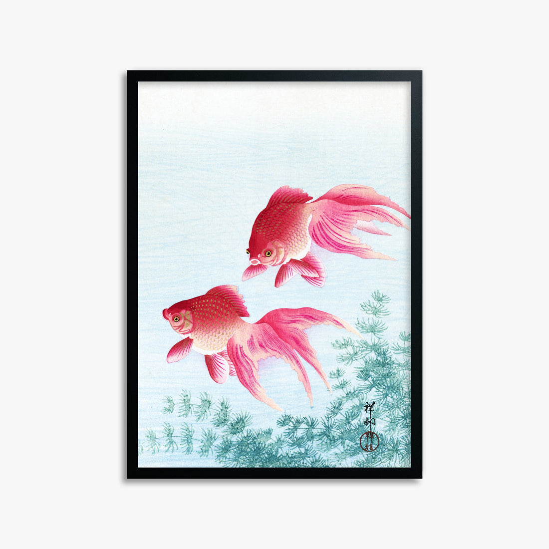Ohara Koson: Two veil goldfish, 50x70cm Framed Art Reproduction With Black Frame