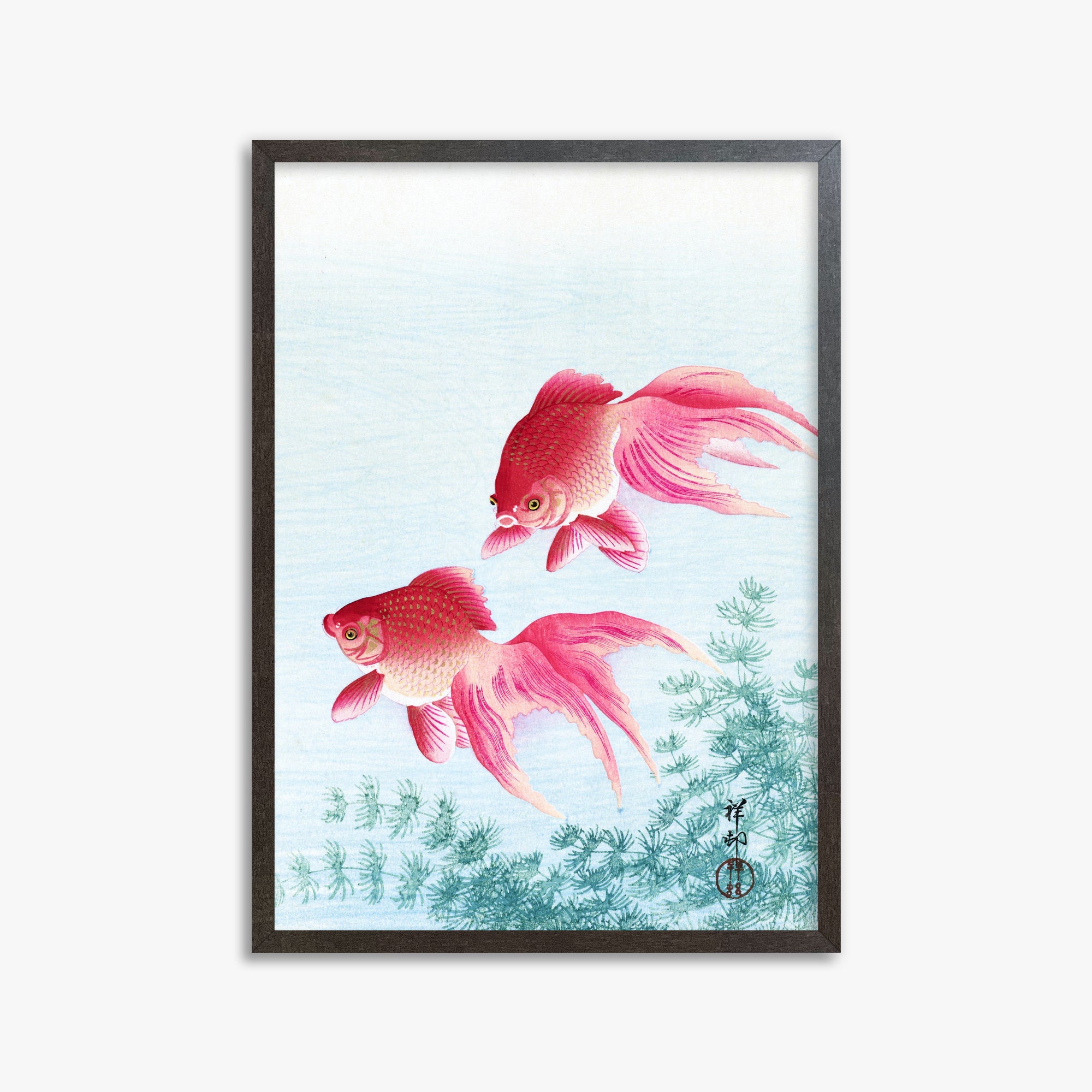 Ohara Koson: Two veil goldfish, 50x70cm Framed Art Reproduction With Espresso Frame