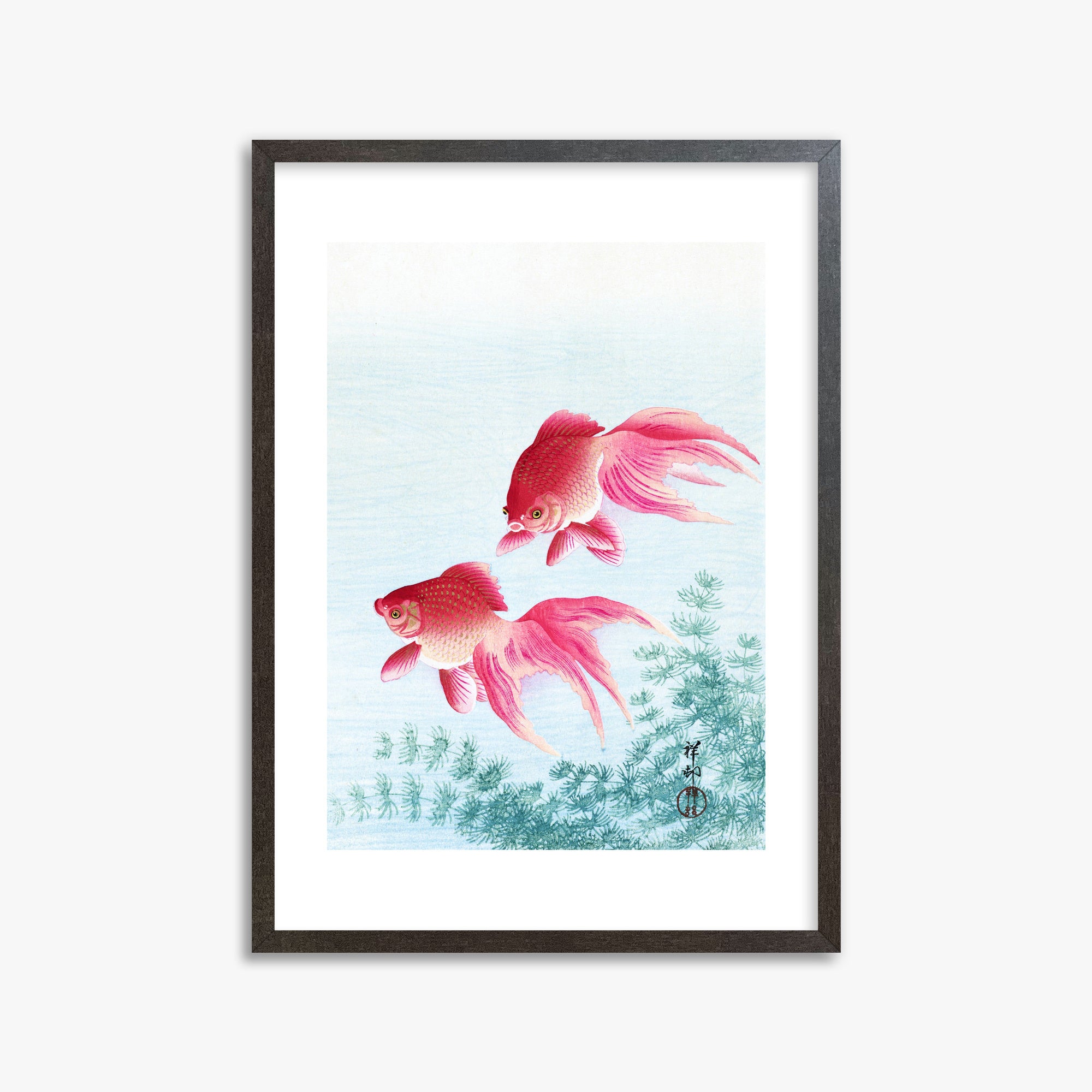 Ohara Koson: Two veil goldfish, 50x70cm Framed Art Reproduction With Espresso Frame