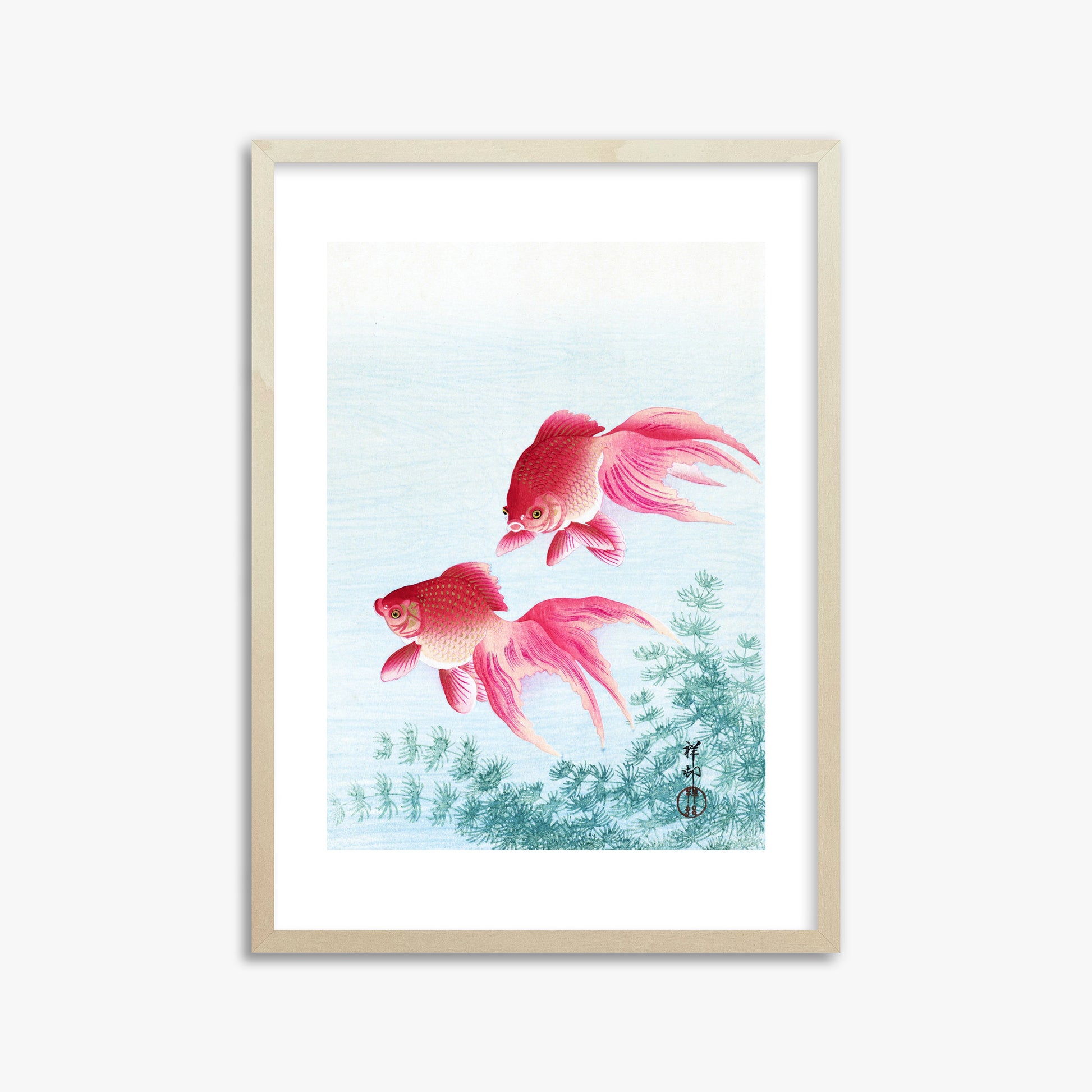 Ohara Koson: Two veil goldfish, 50x70cm Framed Art Reproduction With Lime Wood Frame