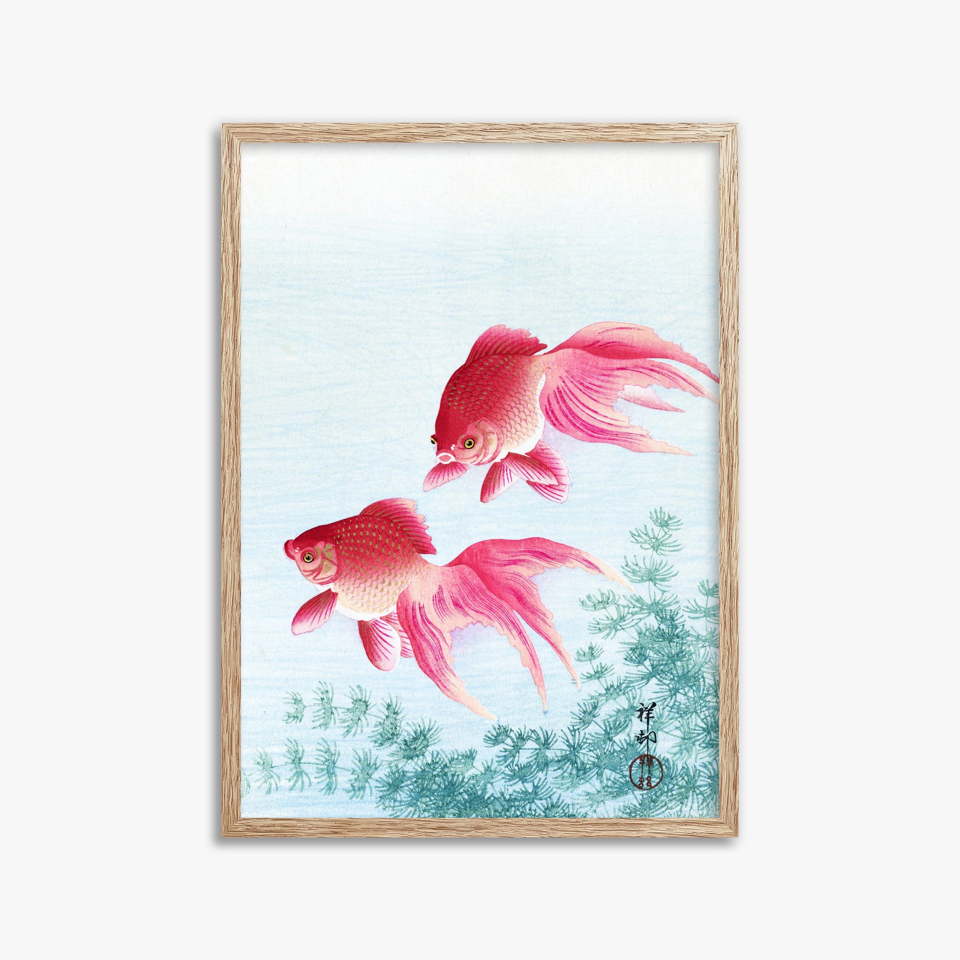 Ohara Koson: Two veil goldfish, 50x70cm Framed Art Reproduction With Raw Oak Frame