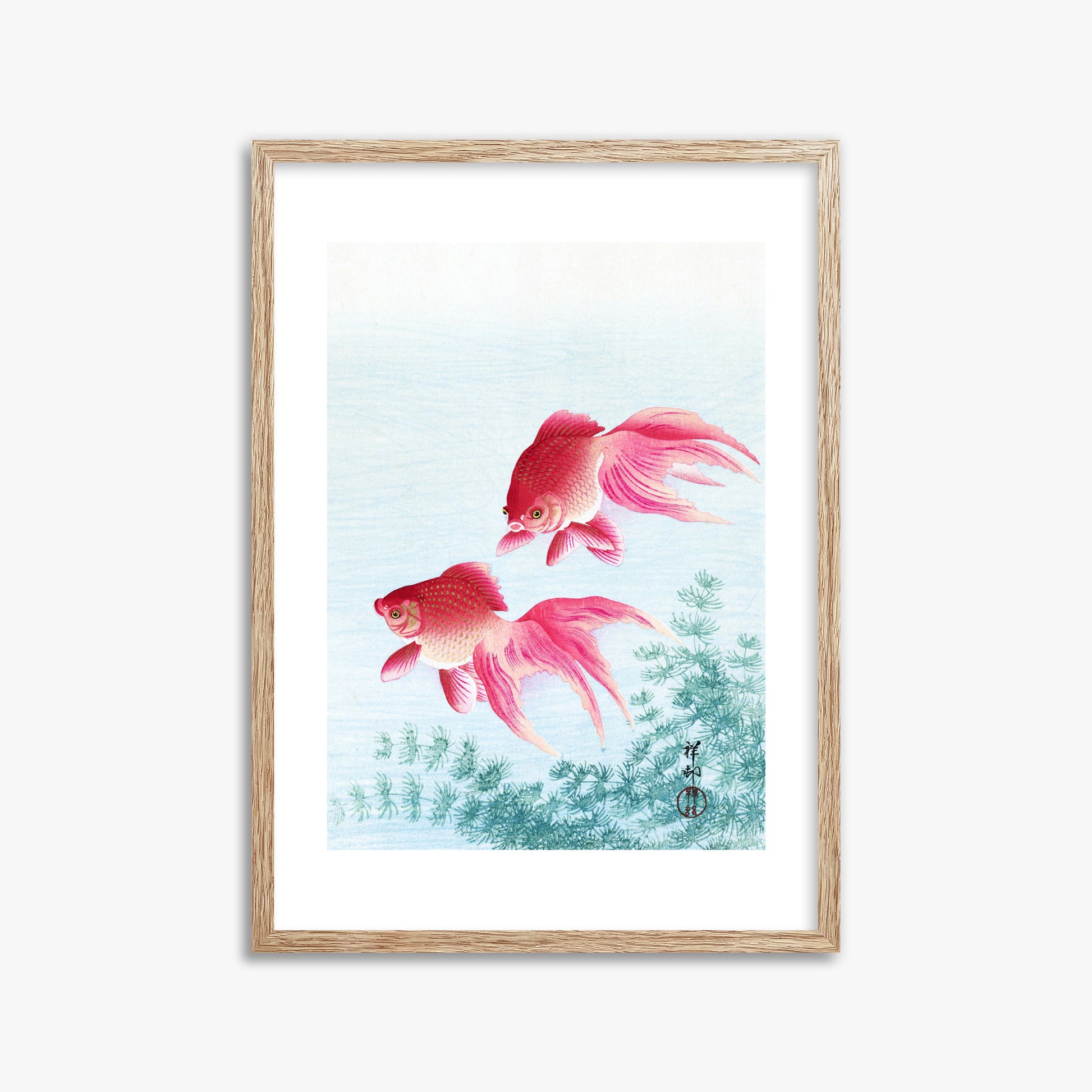 Ohara Koson: Two veil goldfish, 50x70cm Framed Art Reproduction With Raw Oak Frame