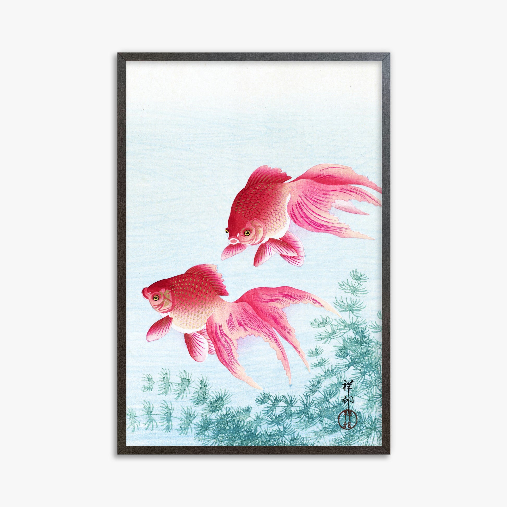 Ohara Koson: Two veil goldfish, 61x91cm Framed Art Reproduction With Espresso Frame