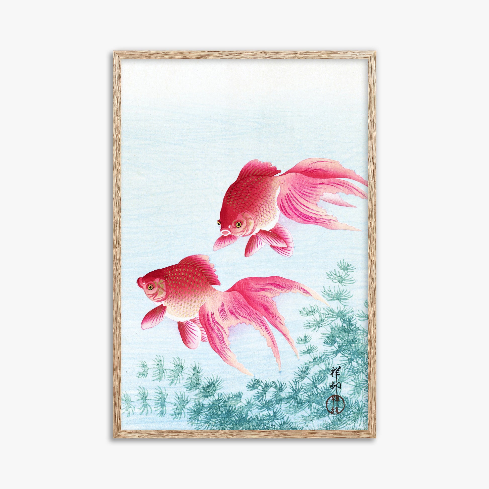 Ohara Koson: Two veil goldfish, 61x91cm Framed Art Reproduction With Raw Oak Frame
