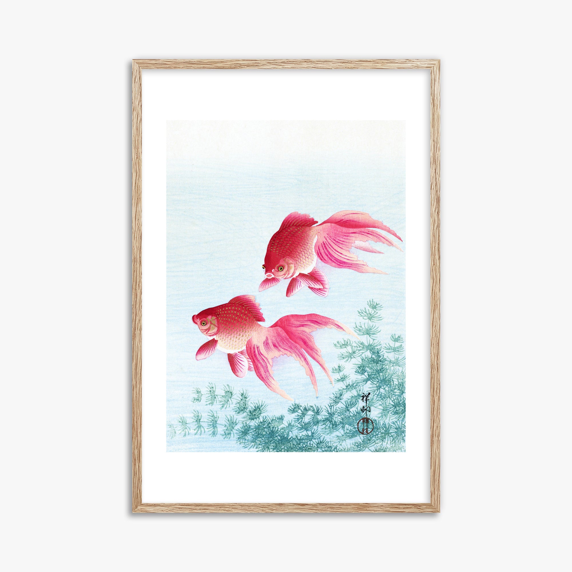 Ohara Koson: Two veil goldfish, 61x91cm Framed Art Reproduction With Raw Oak Frame