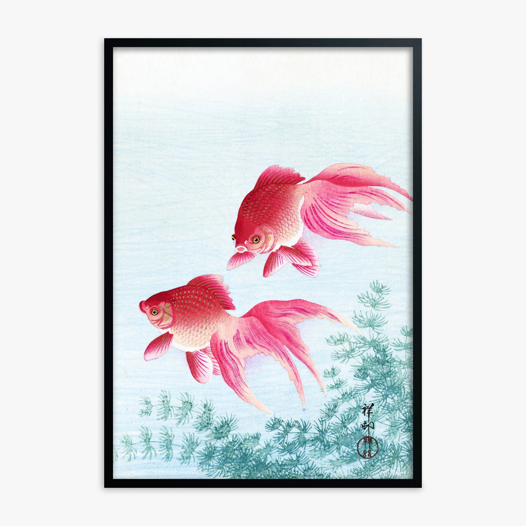 Ohara Koson: Two veil goldfish, Black Framed Art Reproduction With Black Frame