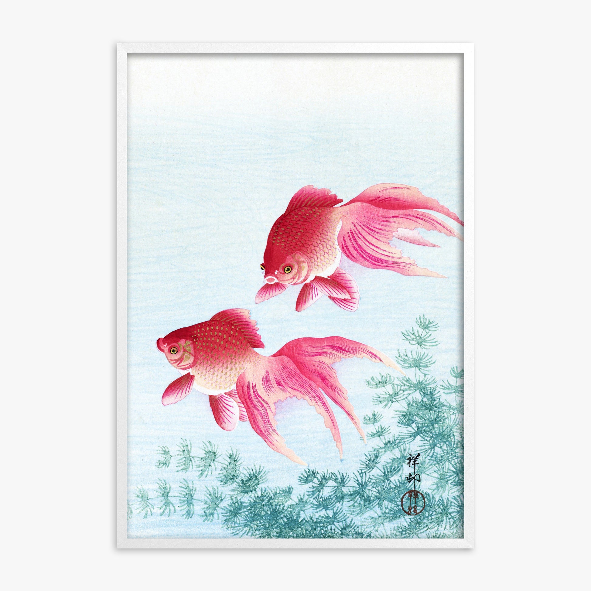 Ohara Koson: Two veil goldfish, White Framed Art Reproduction With White Frame