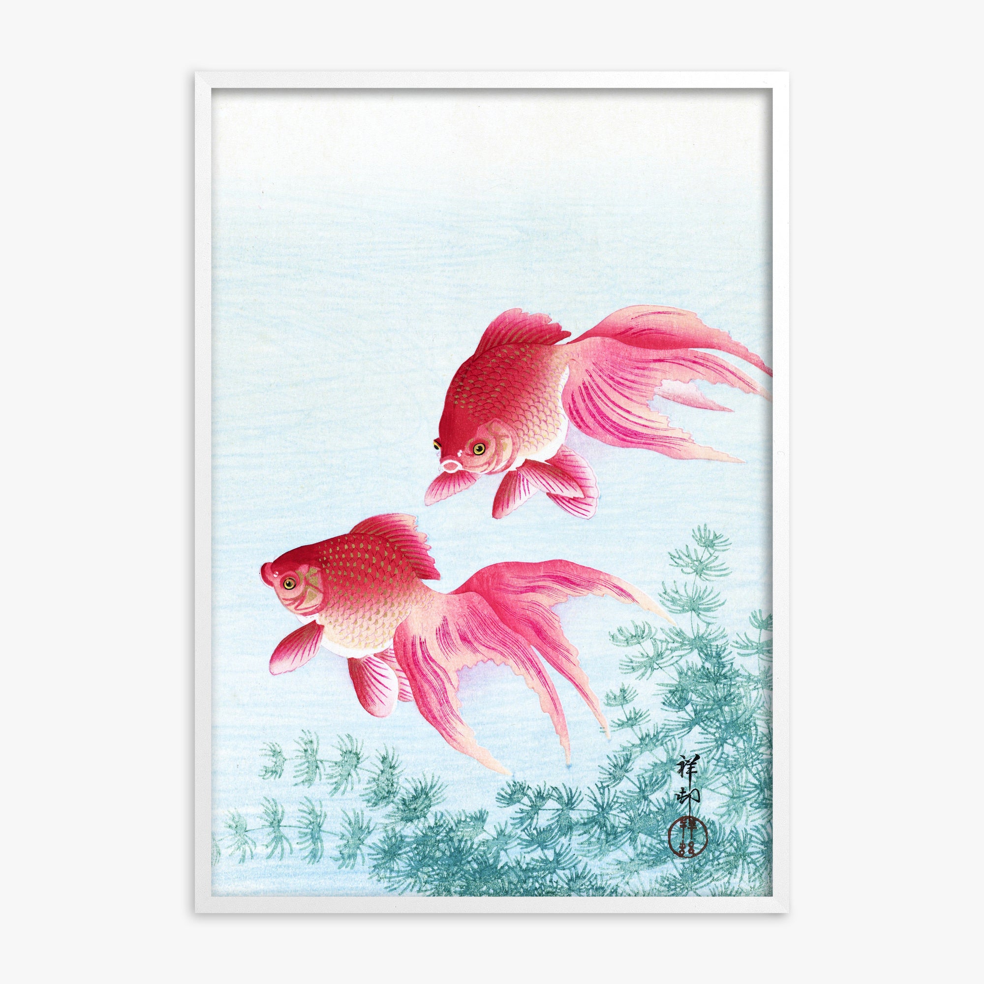 Ohara Koson: Two veil goldfish, White Framed Art Reproduction With White Frame