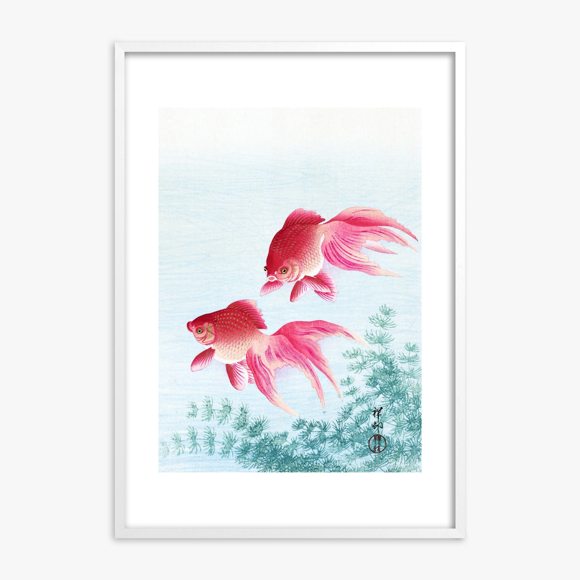 Ohara Koson: Two veil goldfish, White Framed Art Reproduction With White Frame