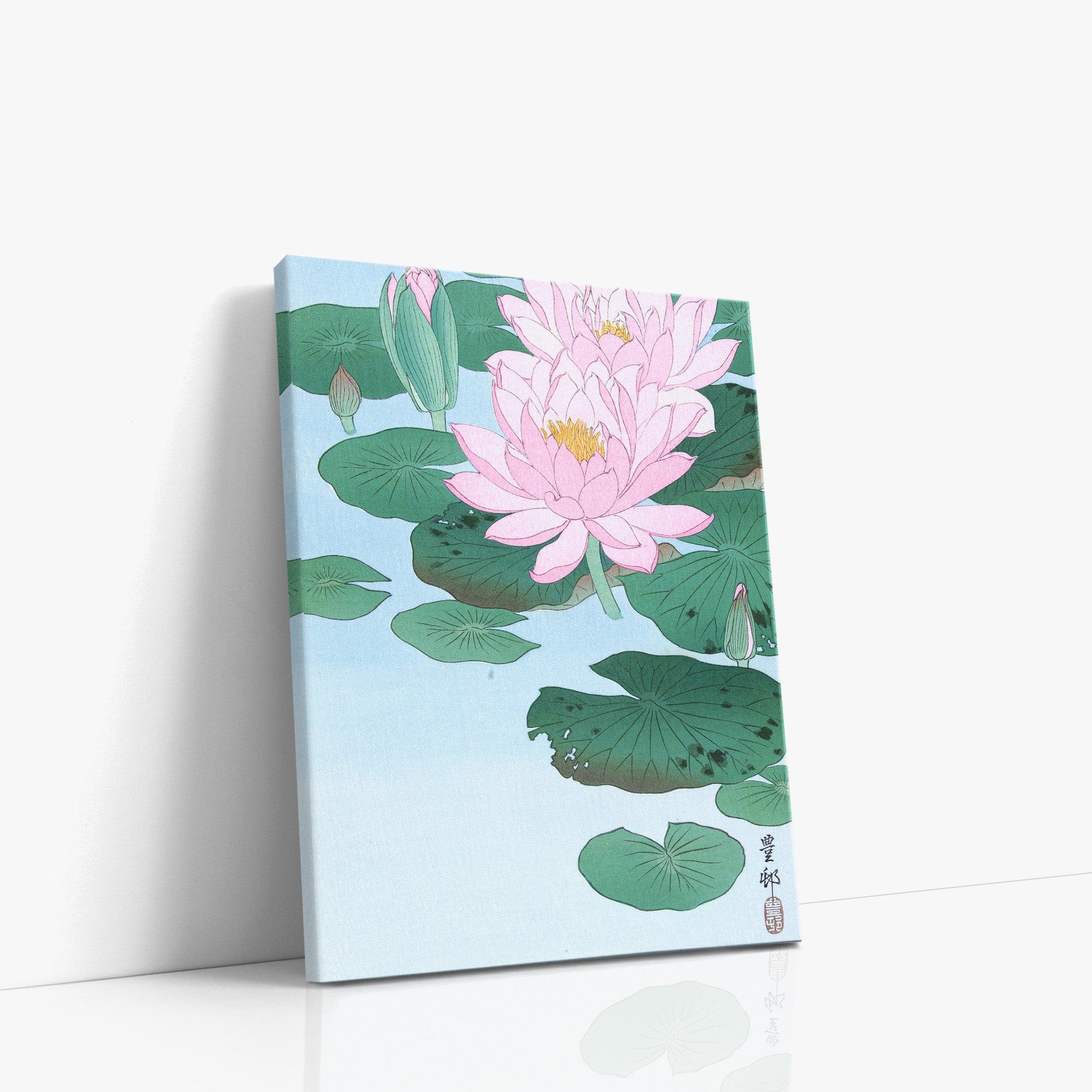 Nénuphar