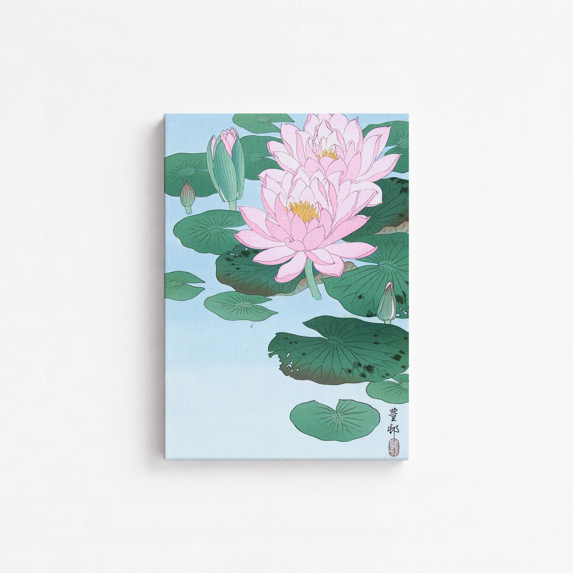 Nénuphar