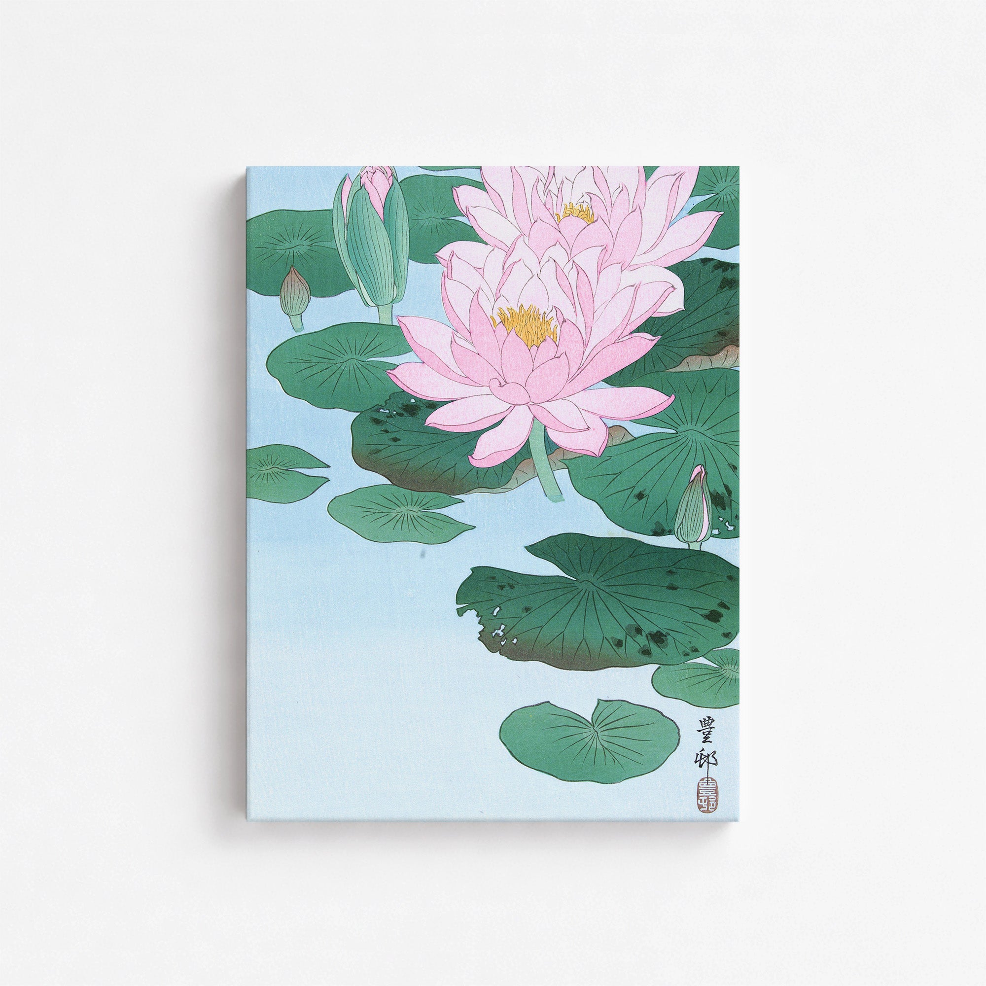 Nénuphar