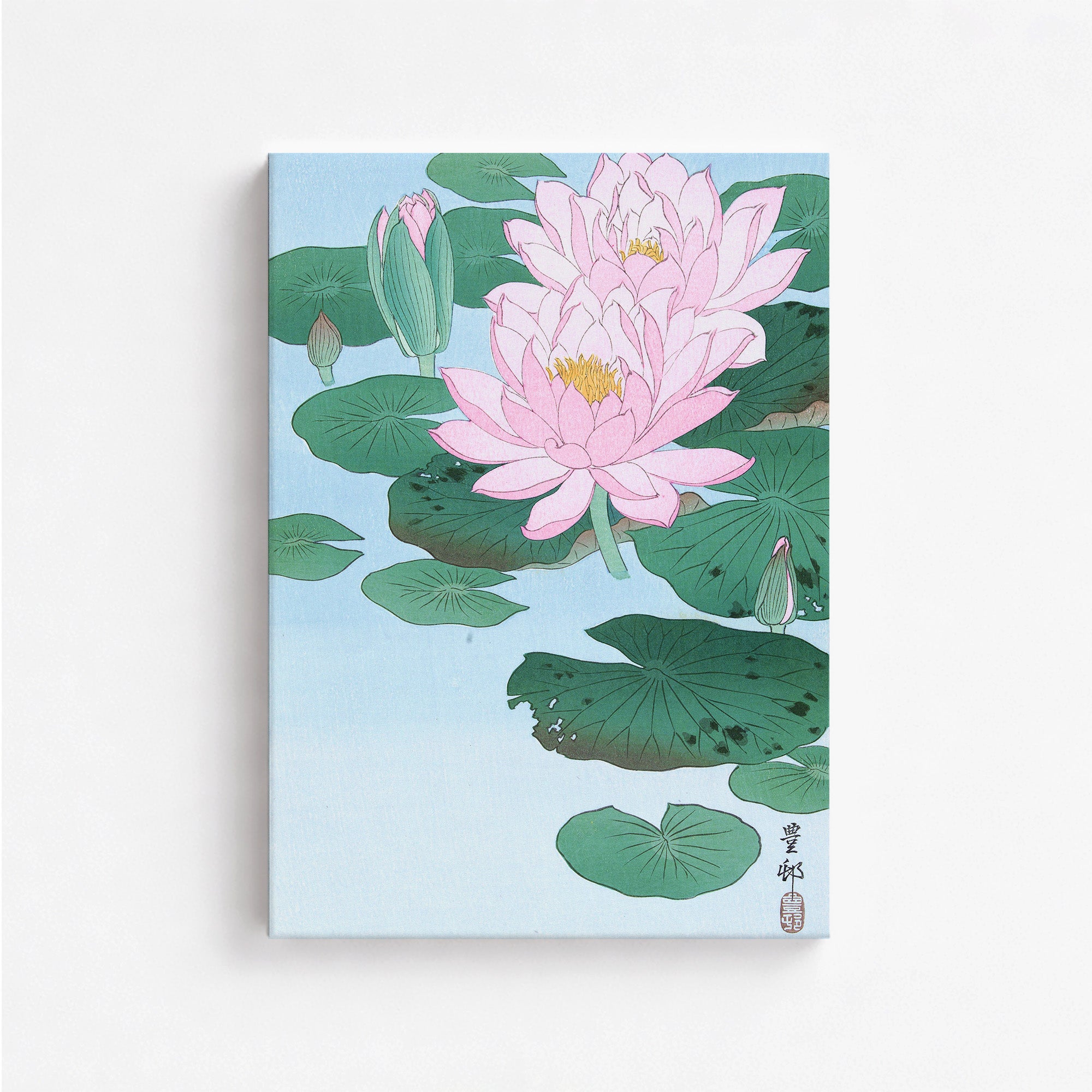 Nénuphar