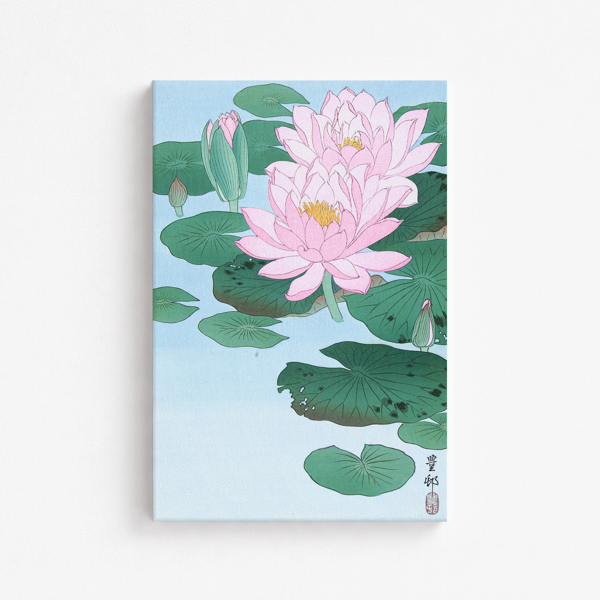 Nénuphar