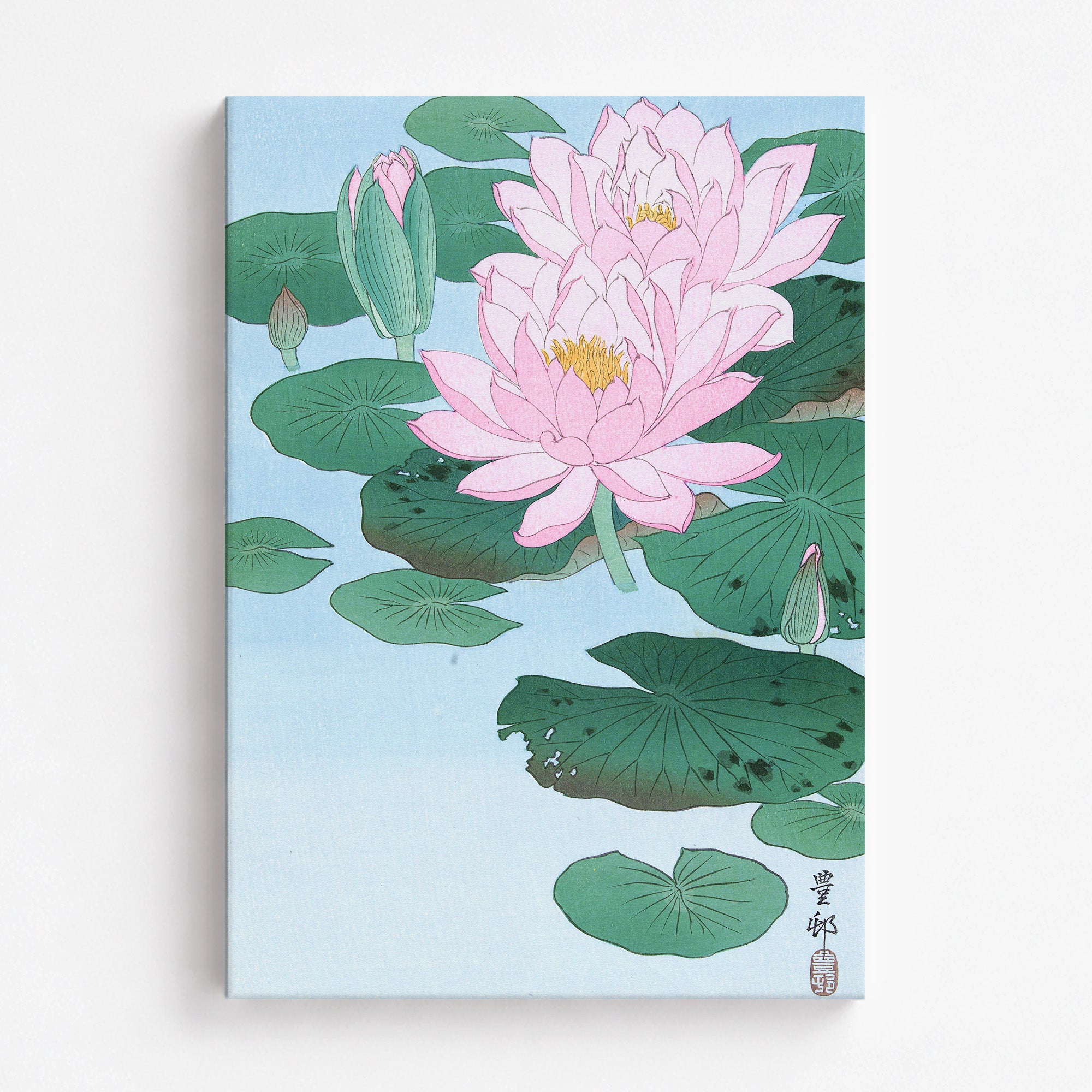 Nénuphar