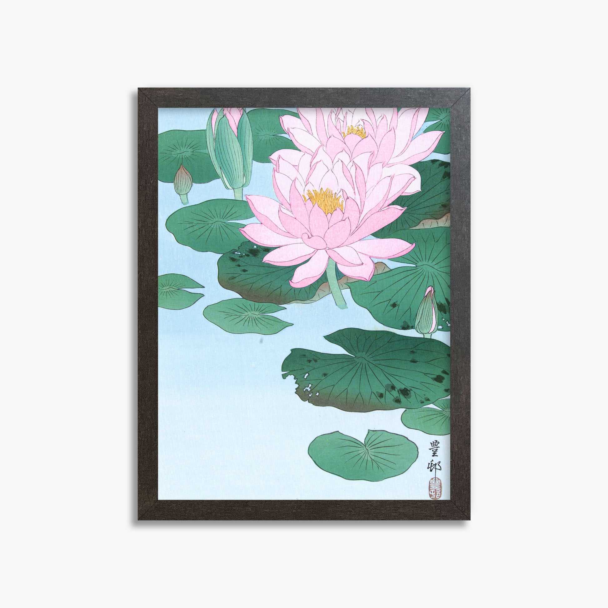 Ohara Koson: Water Lily, 30x40cm Framed Art Reproduction With Espresso Frame