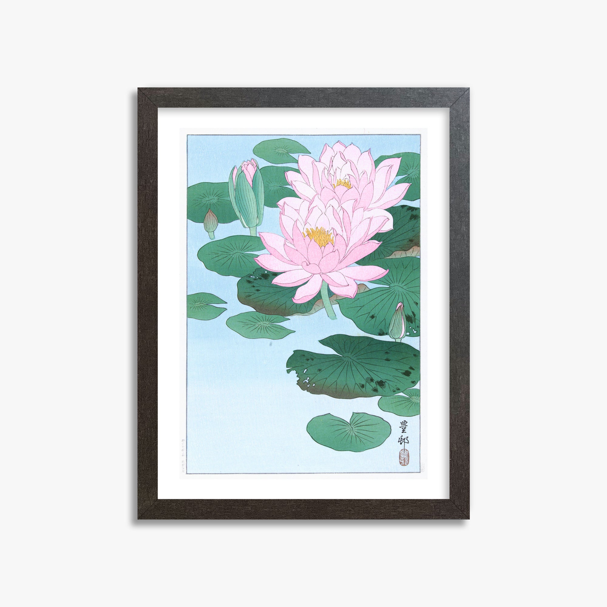 Ohara Koson: Water Lily, 30x40cm Framed Art Reproduction With Espresso Frame