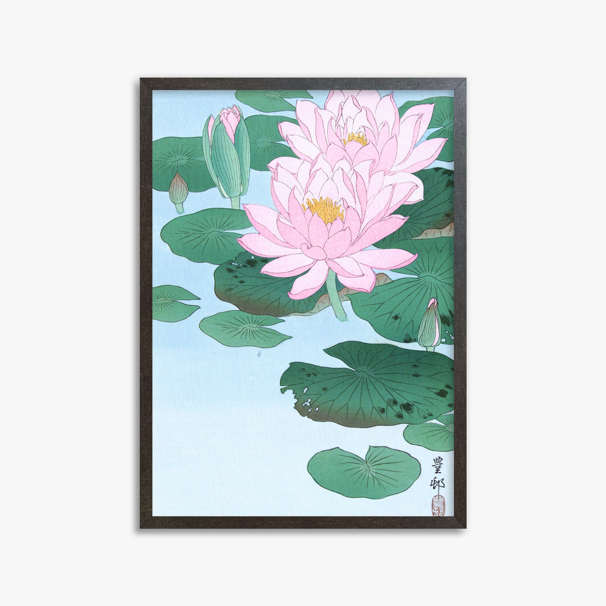 Ohara Koson: Water Lily, 50x70cm Framed Art Reproduction With Espresso Frame
