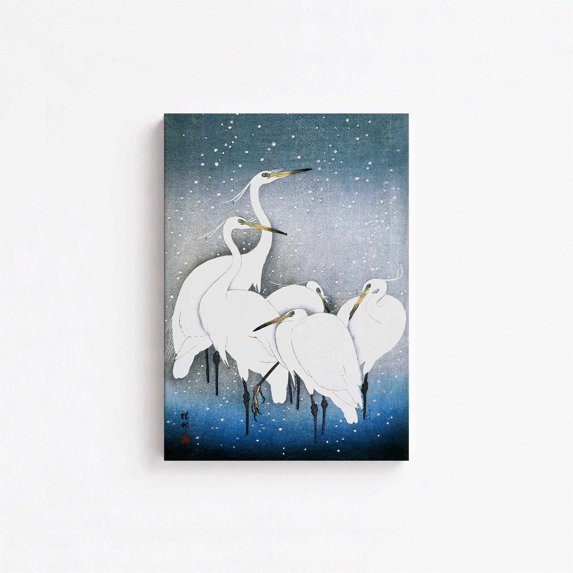 Aigrettes dans la neige