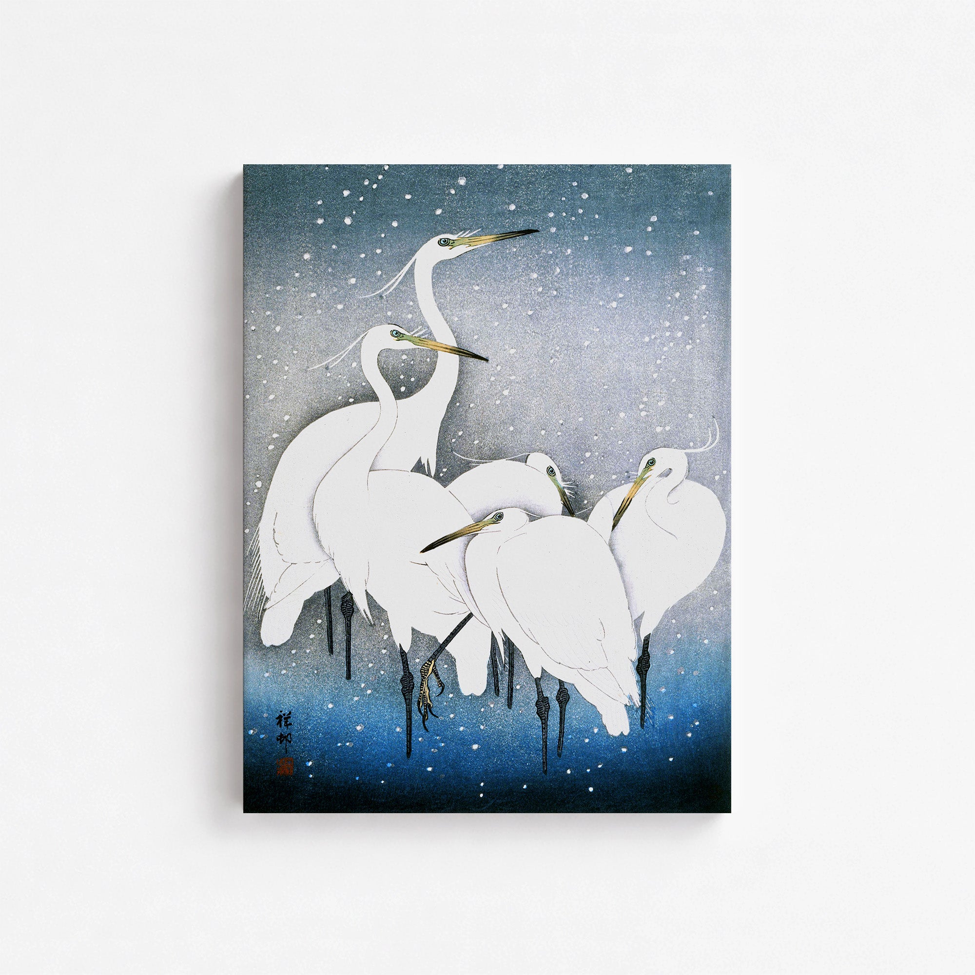 Aigrettes dans la neige