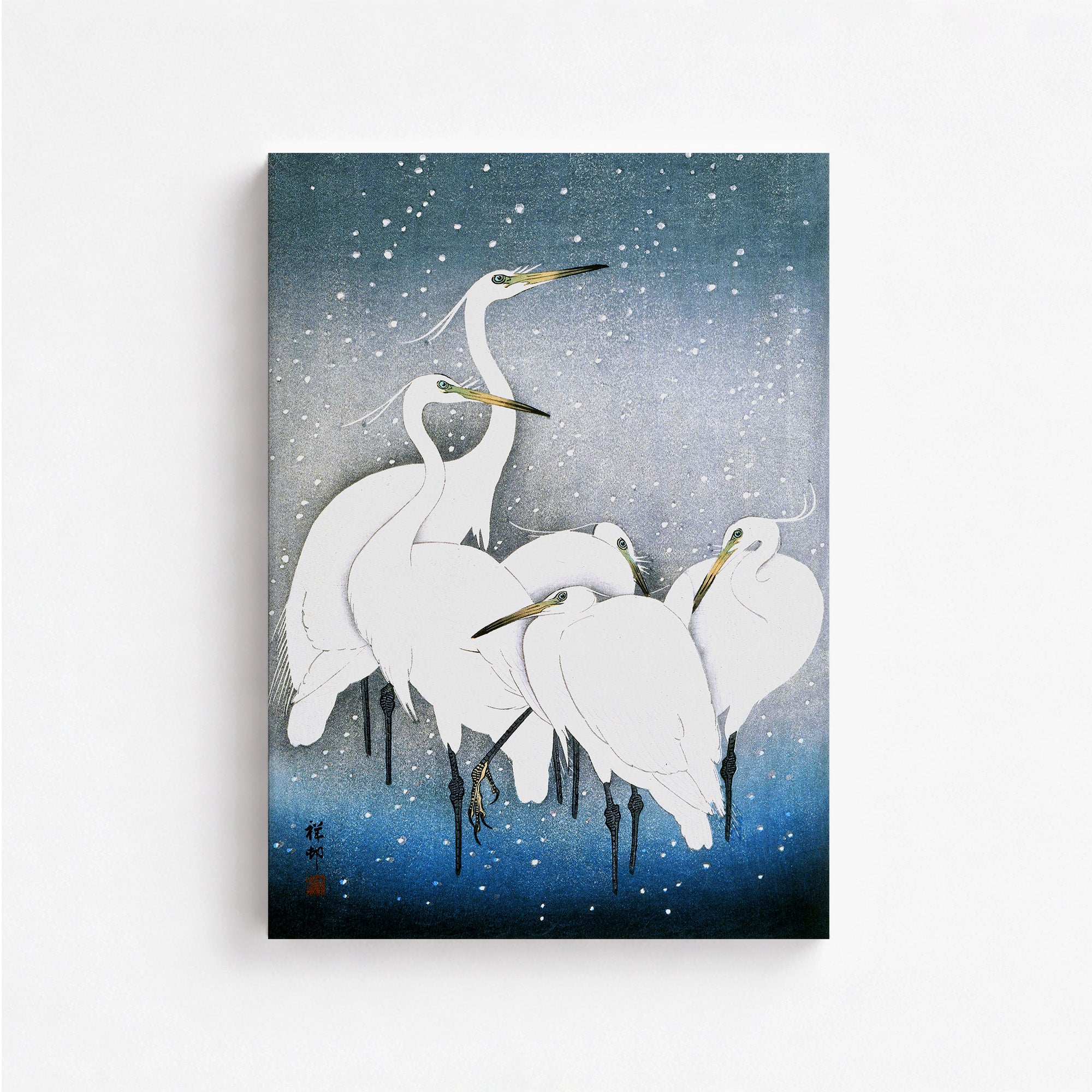 Aigrettes dans la neige
