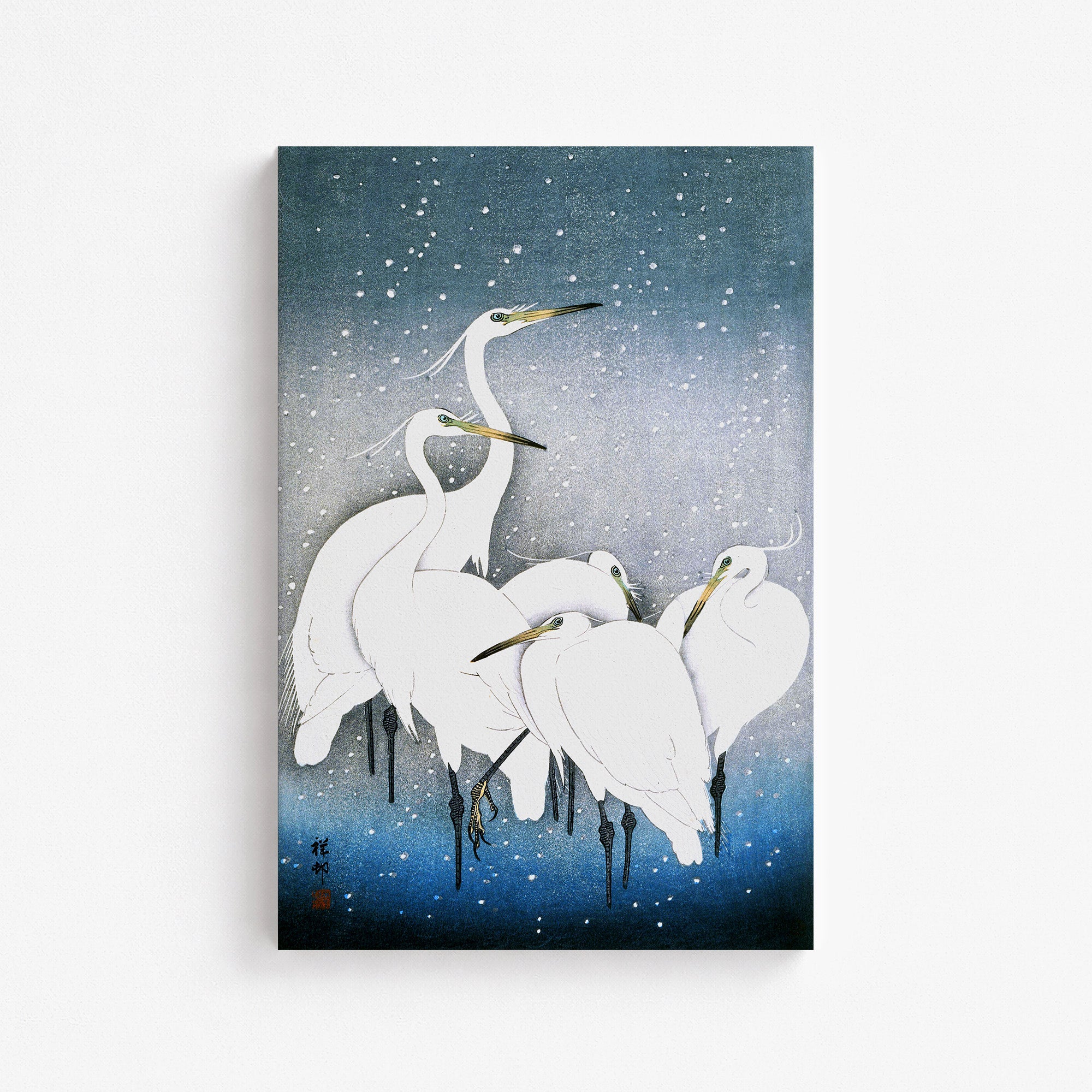 Aigrettes dans la neige