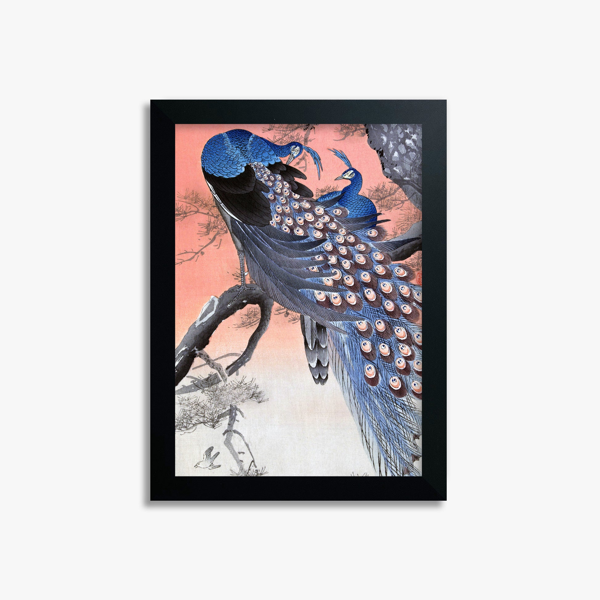 Ohara Koson: Two Peacocks on Tree Branch, 21x30cm Framed Art Reproduction With Black Frame