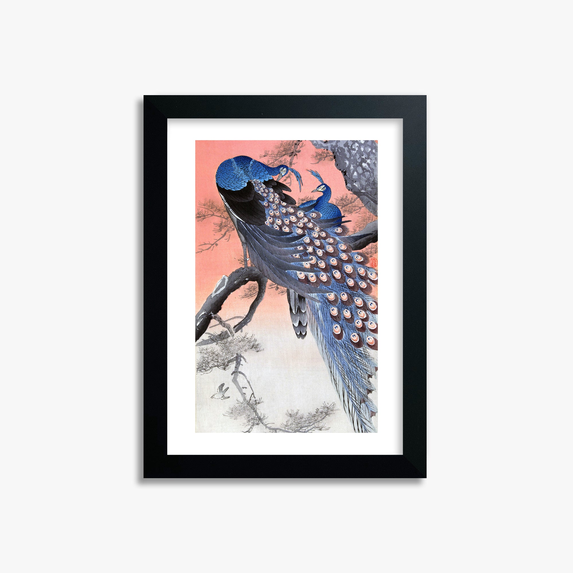Ohara Koson: Two Peacocks on Tree Branch, 21x30cm Framed Art Reproduction With Black Frame