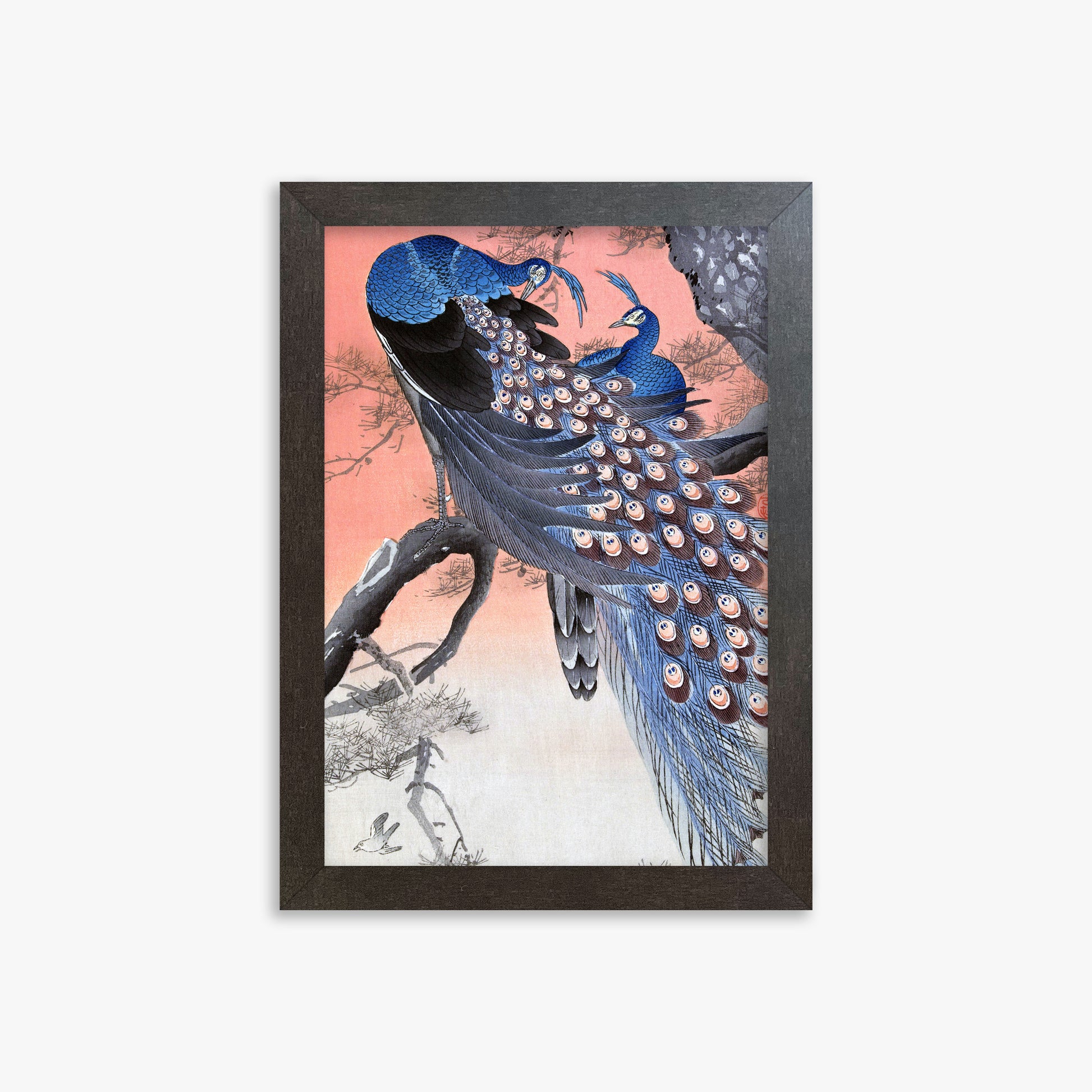 Ohara Koson: Two Peacocks on Tree Branch, 21x30cm Framed Art Reproduction With Espresso Frame