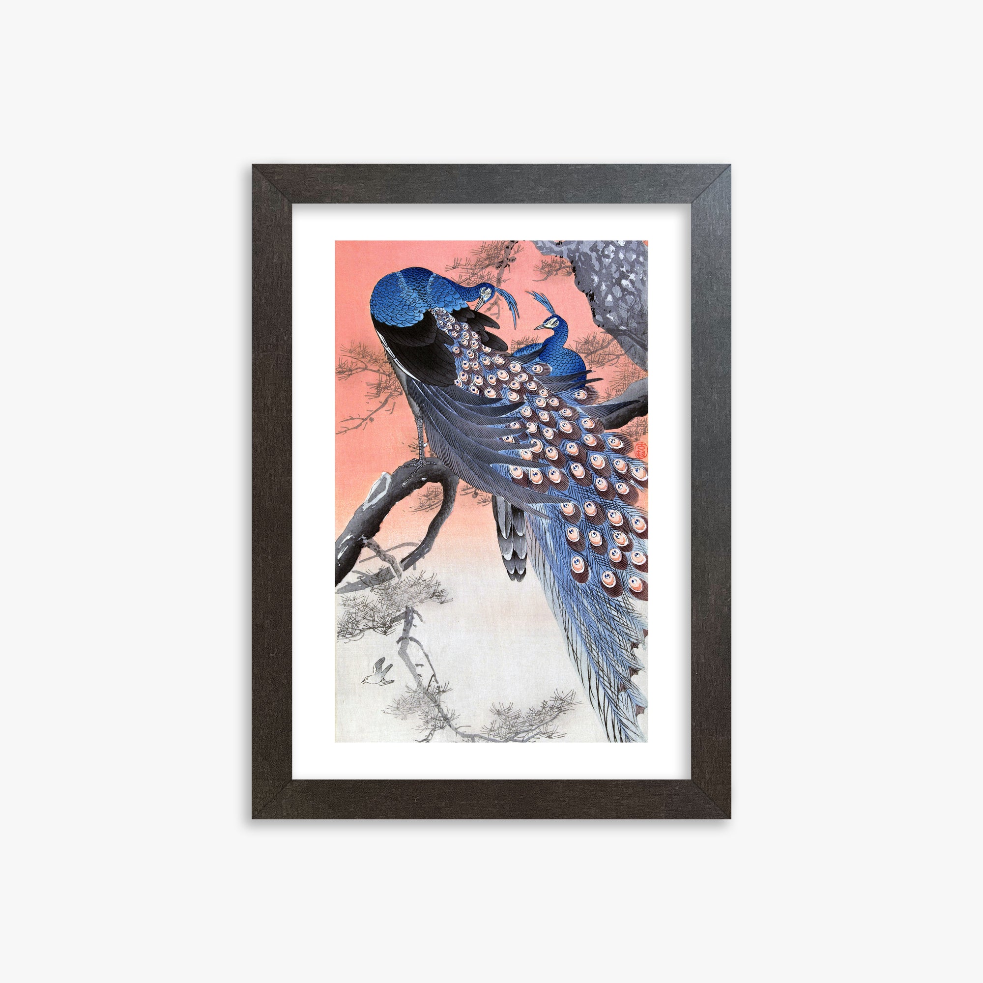 Ohara Koson: Two Peacocks on Tree Branch, 21x30cm Framed Art Reproduction With Espresso Frame