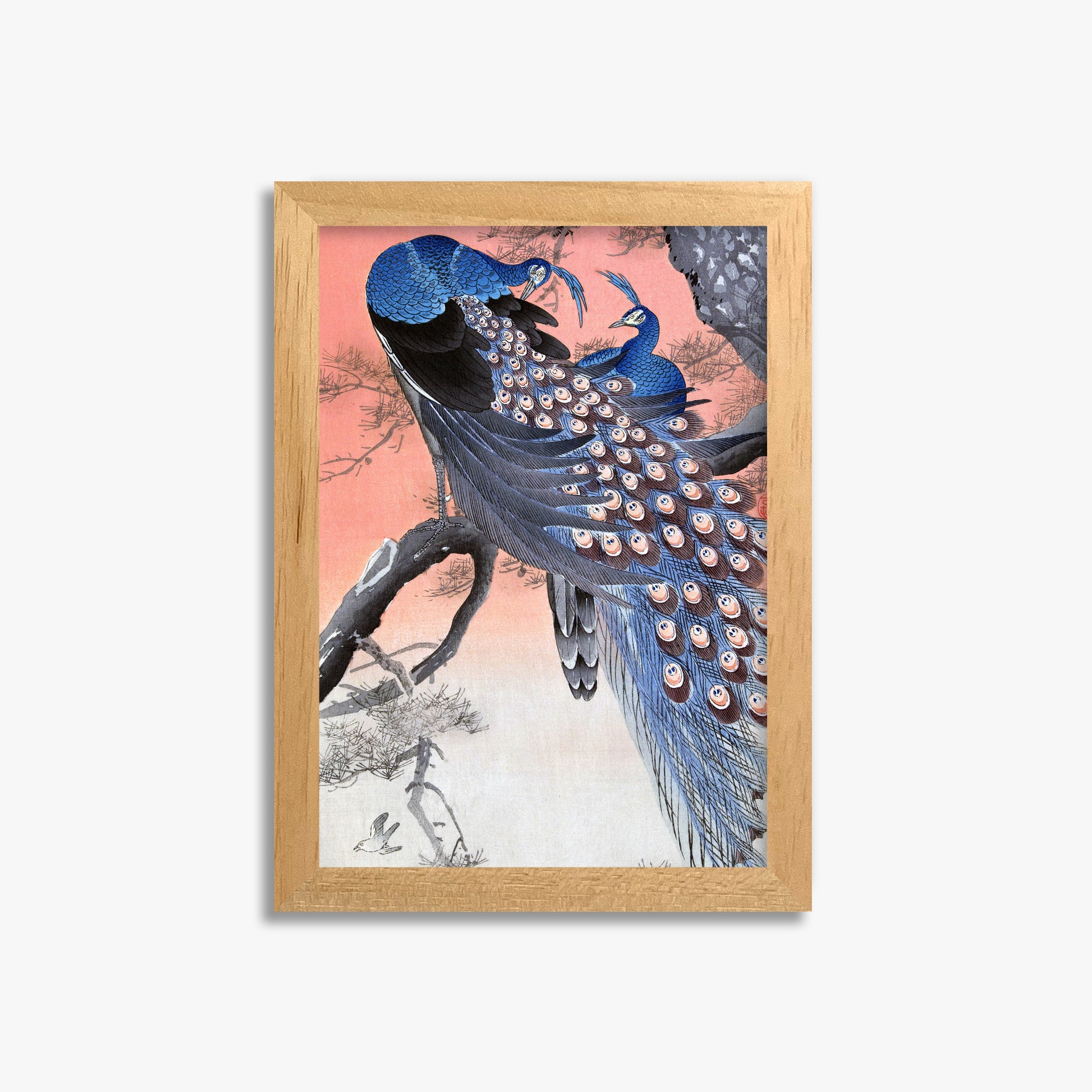 Ohara Koson: Two Peacocks on Tree Branch, 21x30cm Framed Art Reproduction With Oak Frame