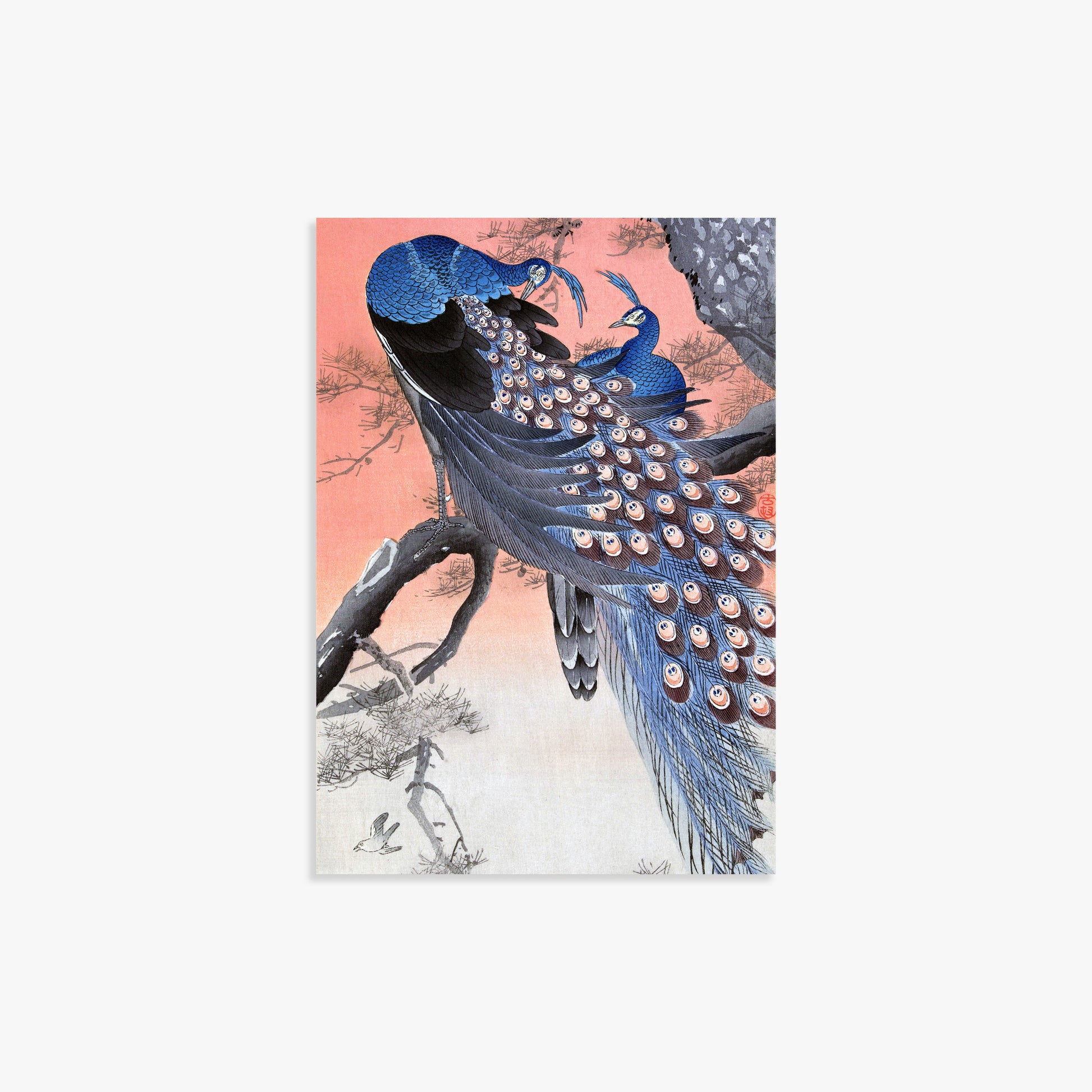 Ohara Koson: Two Peacocks on Tree Branch, 21x30cm Art Reproduction Unframed