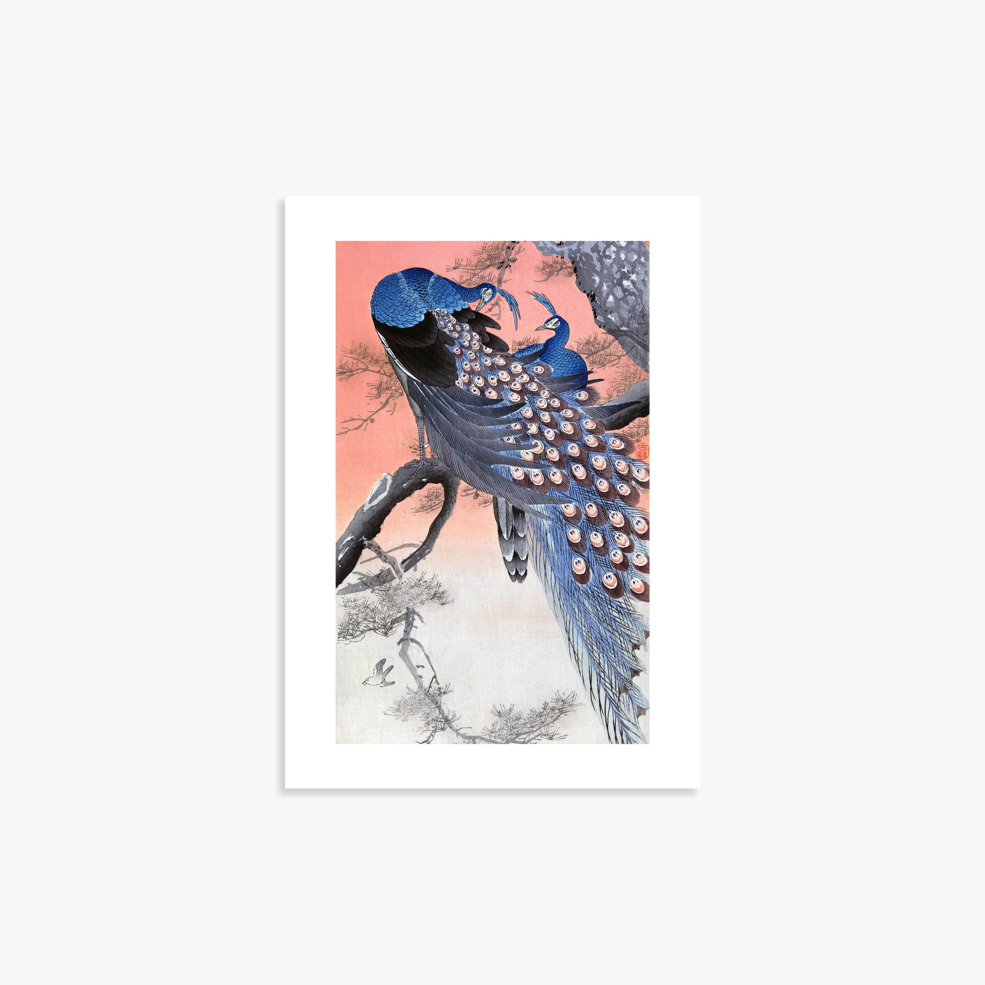Ohara Koson: Two Peacocks on Tree Branch, 21x30cm Art Reproduction Unframed