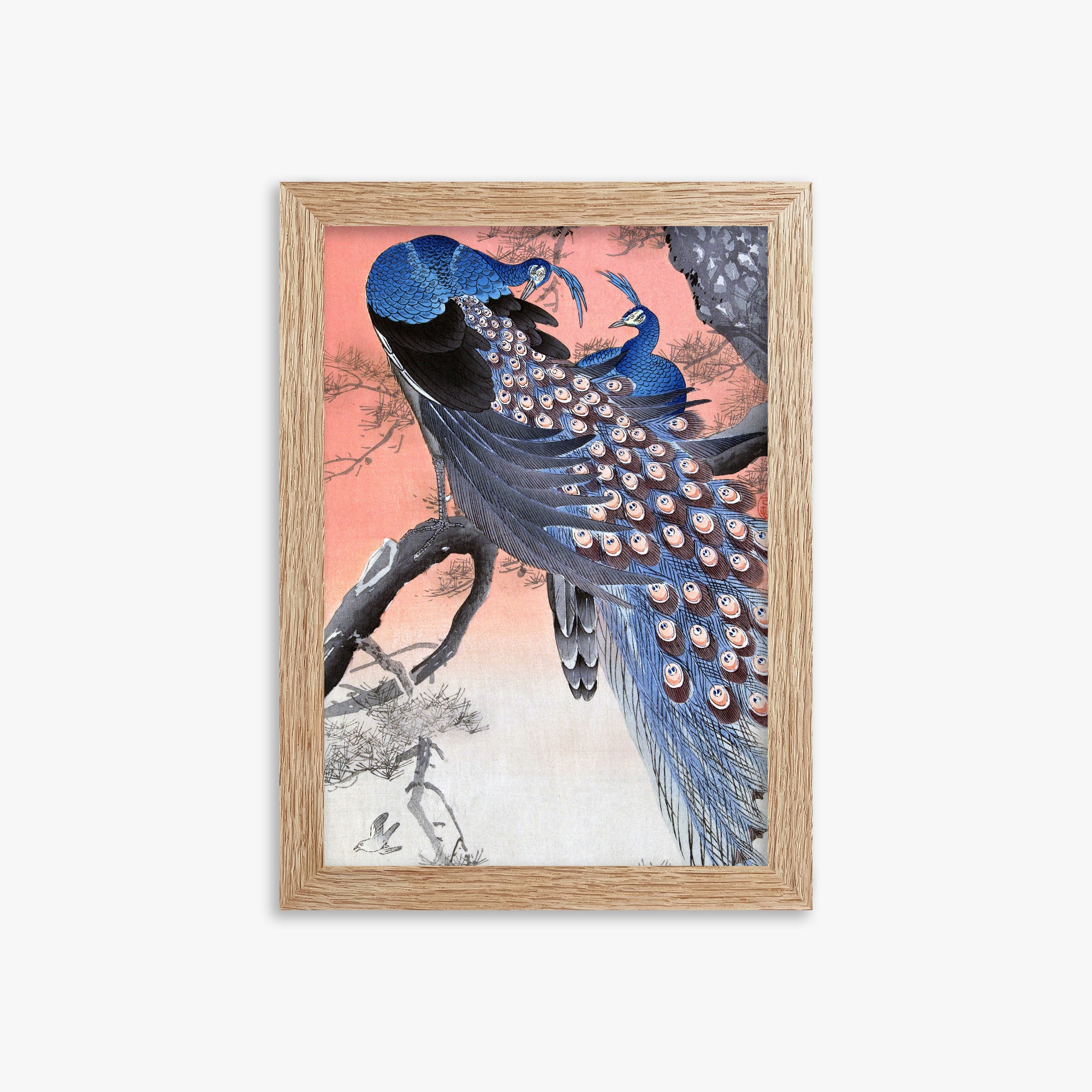 Ohara Koson: Two Peacocks on Tree Branch, 21x30cm Framed Art Reproduction With Raw Oak Frame
