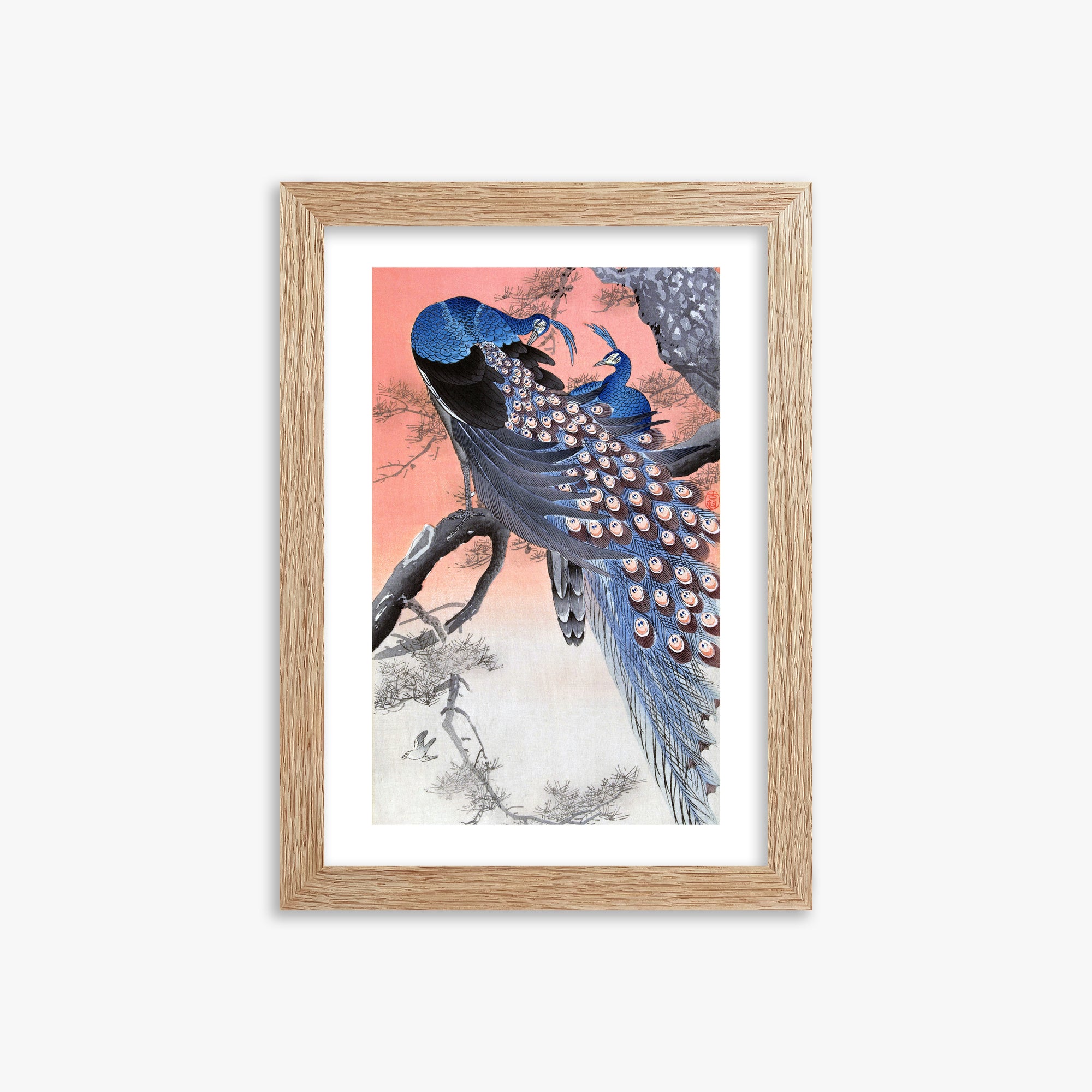 Ohara Koson: Two Peacocks on Tree Branch, 21x30cm Framed Art Reproduction With Raw Oak Frame