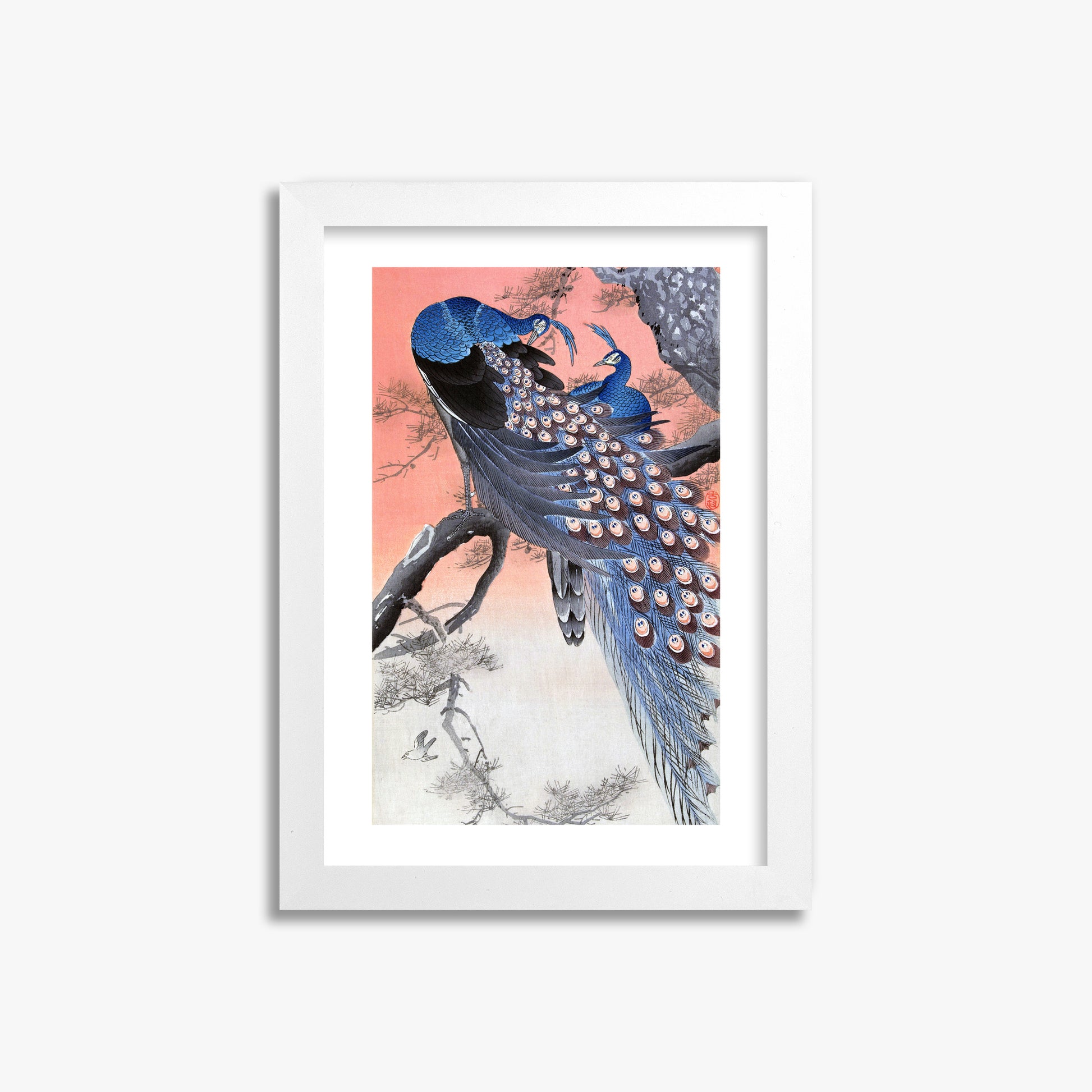Ohara Koson: Two Peacocks on Tree Branch, 21x30cm Framed Art Reproduction With White Frame